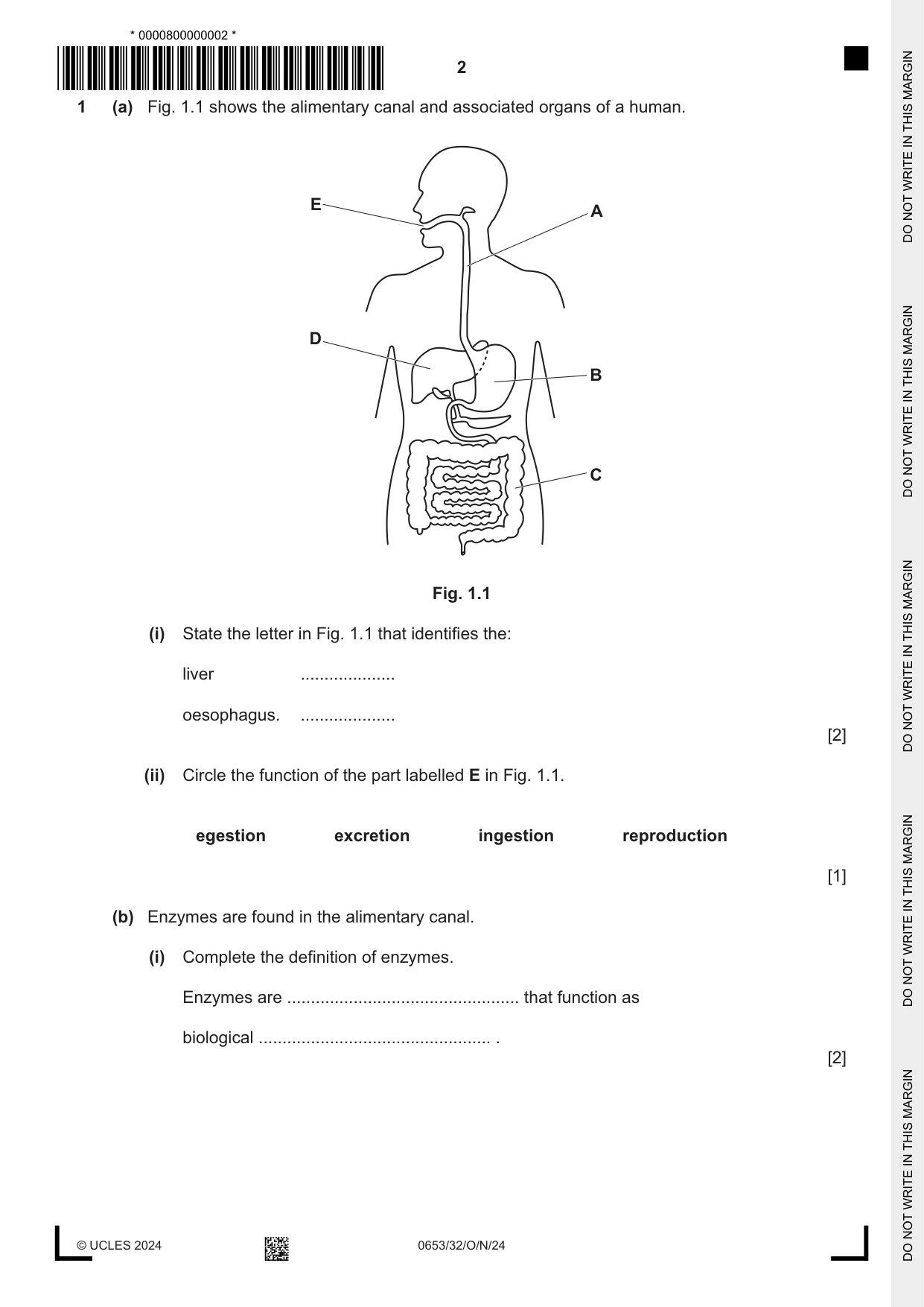 Cambridge IGCSE Science - Combined 0653 2024 Oct/Nov Paper 3 · Variant 2 question paper, page 2 of 24