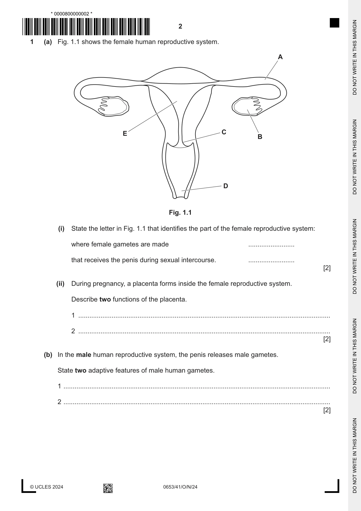 Cambridge IGCSE Science - Combined 0653 2024 Oct/Nov Paper 4 · Variant 1 question paper, page 2 of 20