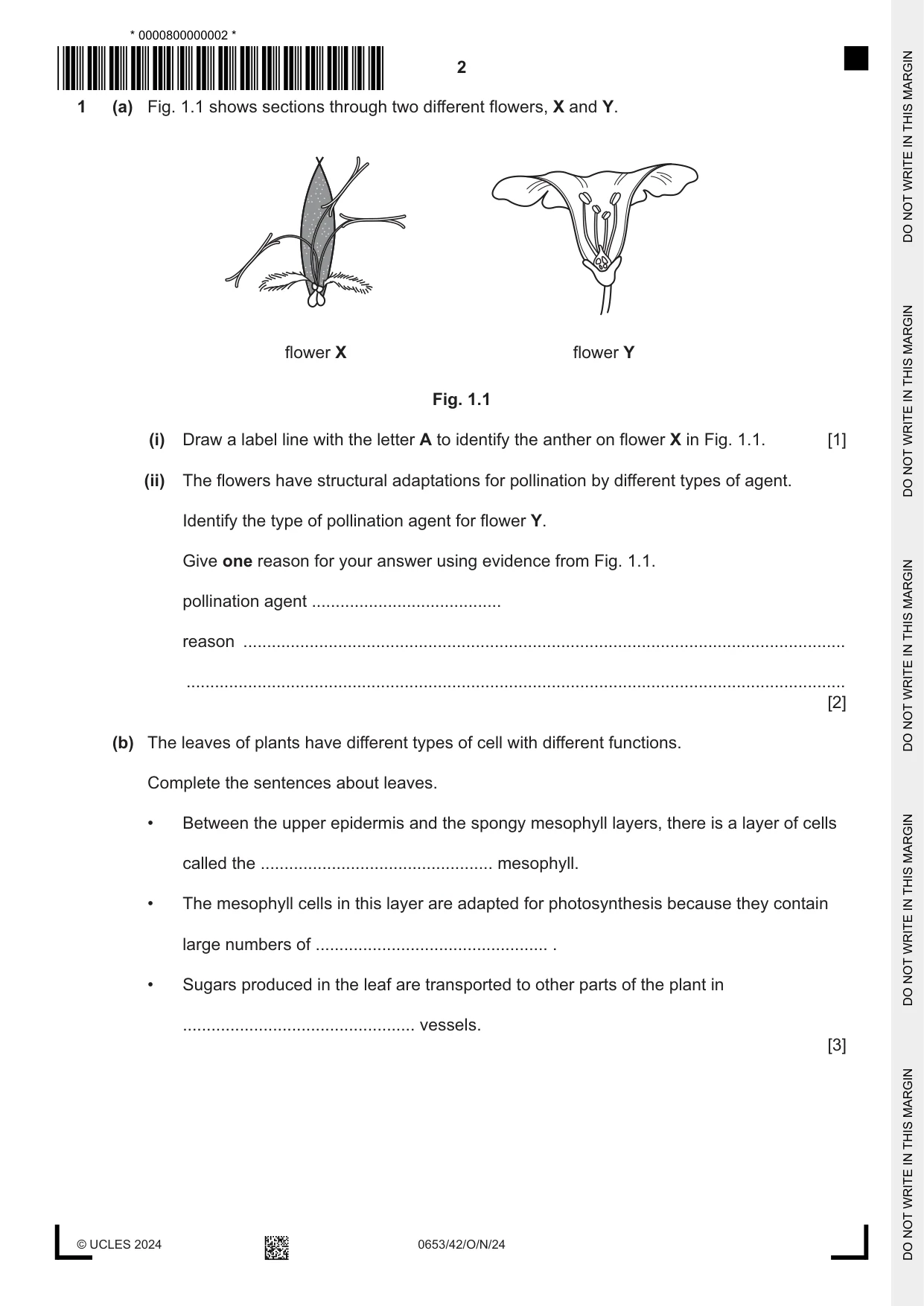 Cambridge IGCSE Science - Combined 0653 2024 Oct/Nov Paper 4 · Variant 2 question paper, page 2 of 20