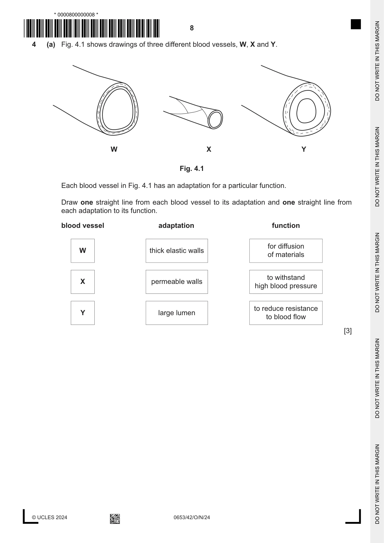 Cambridge IGCSE Science - Combined 0653 2024 Oct/Nov Paper 4 · Variant 2 question paper, page 8 of 20