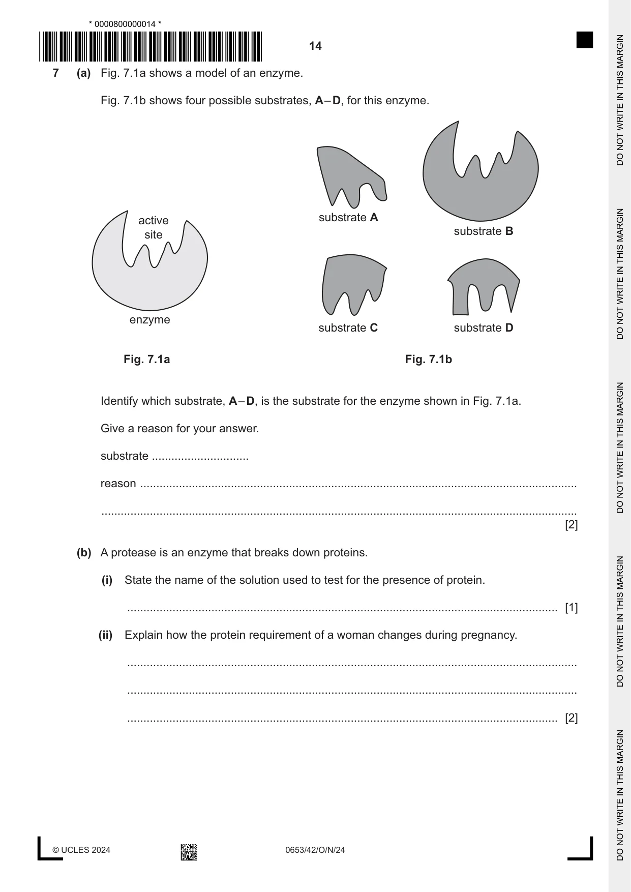 Cambridge IGCSE Science - Combined 0653 2024 Oct/Nov Paper 4 · Variant 2 question paper, page 14 of 20