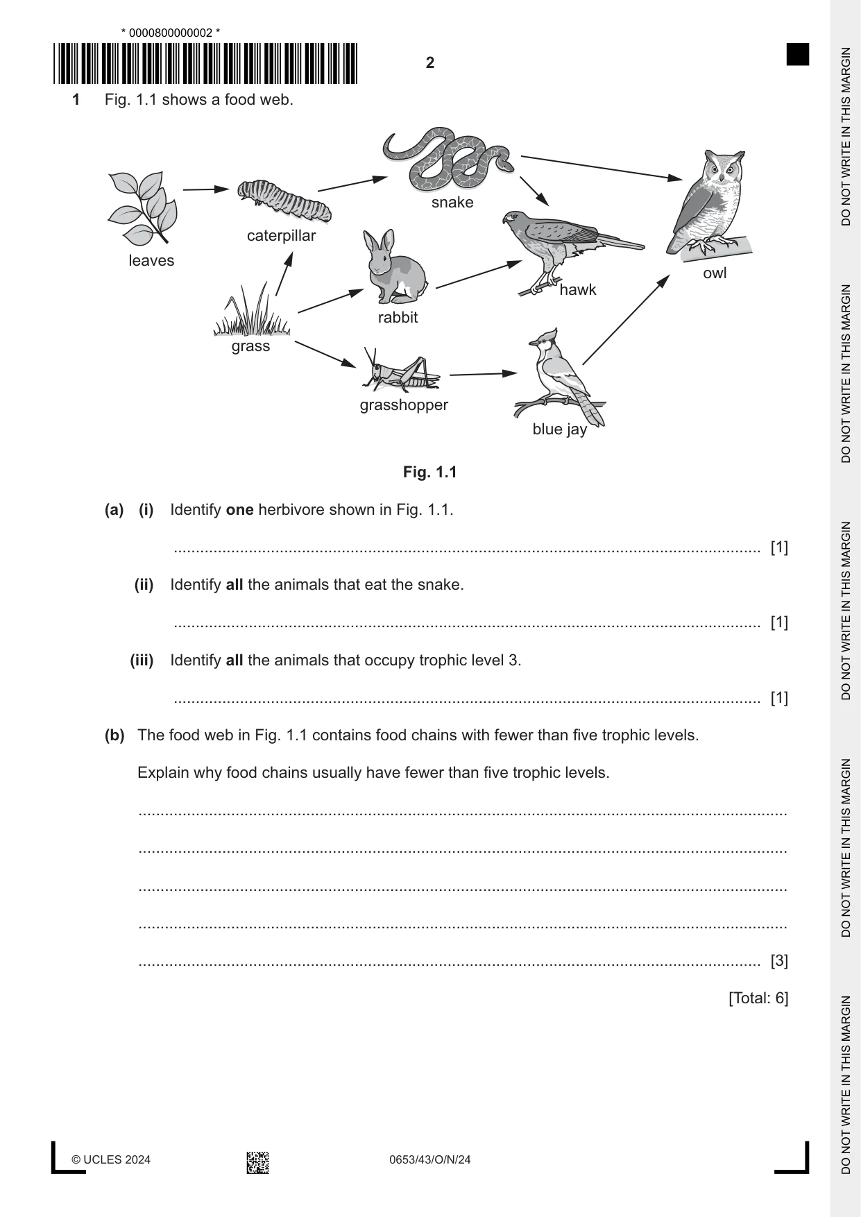 Cambridge IGCSE Science - Combined 0653 2024 Oct/Nov Paper 4 · Variant 3 question paper, page 2 of 20