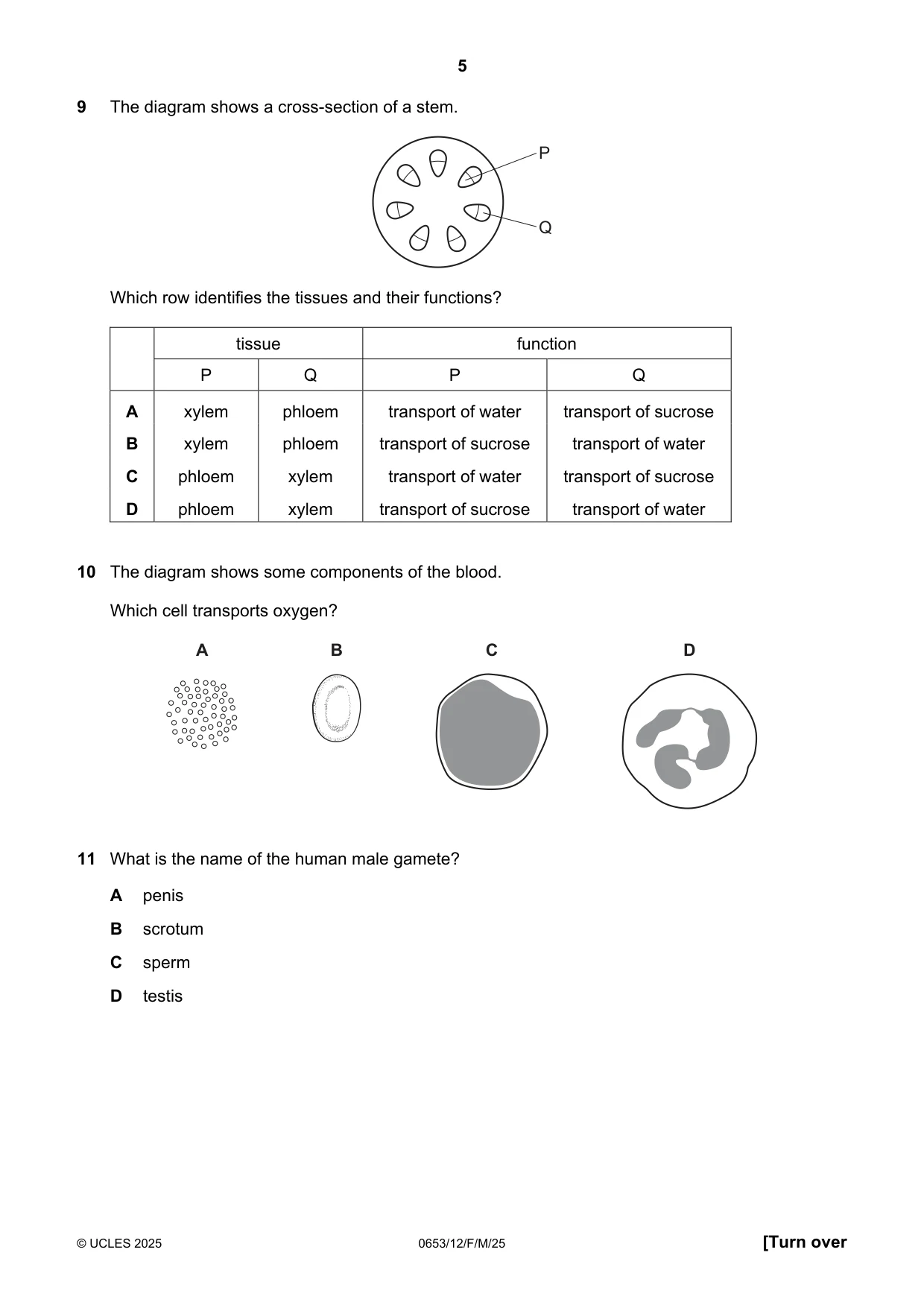 Cambridge IGCSE Science - Combined 0653 2025 Feb/March Paper 1 · Variant 2 question paper, page 5 of 16