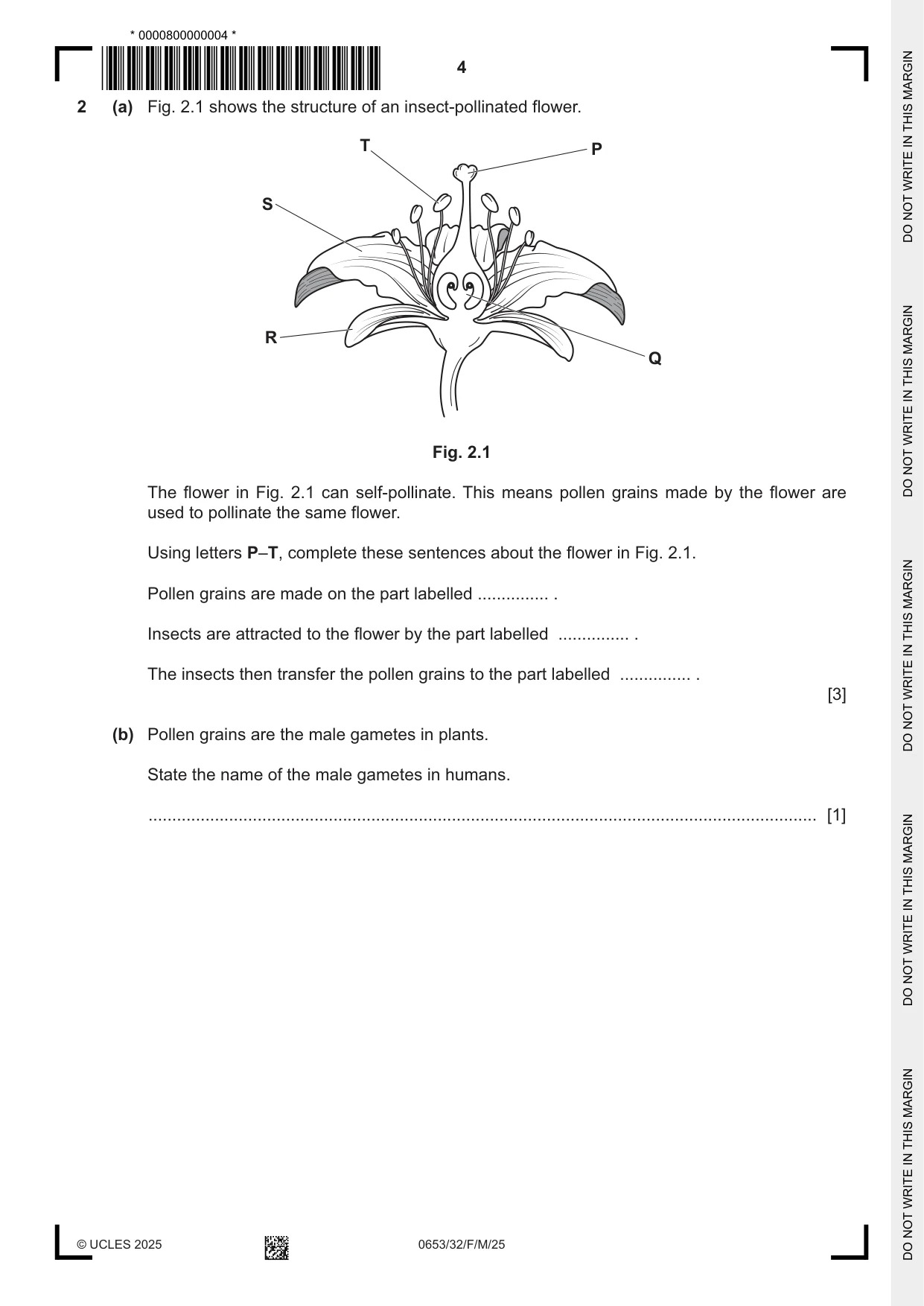 Cambridge IGCSE Science - Combined 0653 2025 Feb/March Paper 3 · Variant 2 question paper, page 4 of 20