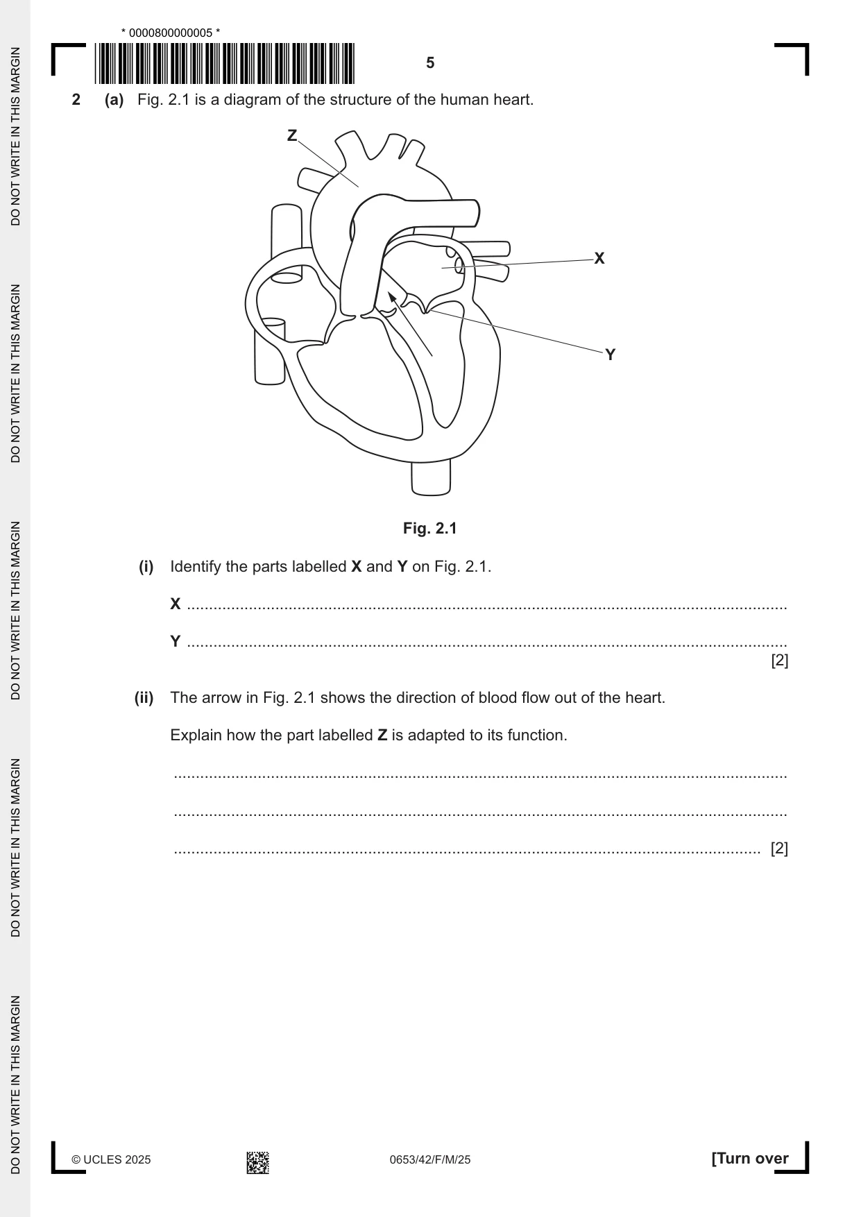 Cambridge IGCSE Science - Combined 0653 2025 Feb/March Paper 4 · Variant 2 question paper, page 5 of 24