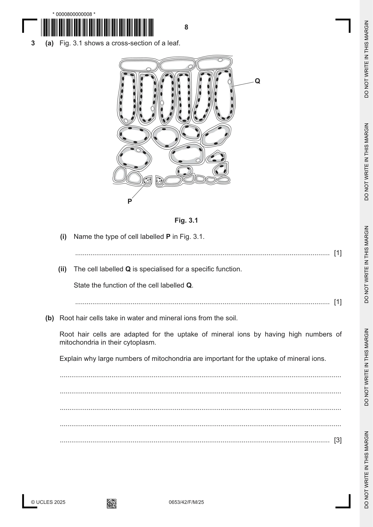 Cambridge IGCSE Science - Combined 0653 2025 Feb/March Paper 4 · Variant 2 question paper, page 8 of 24