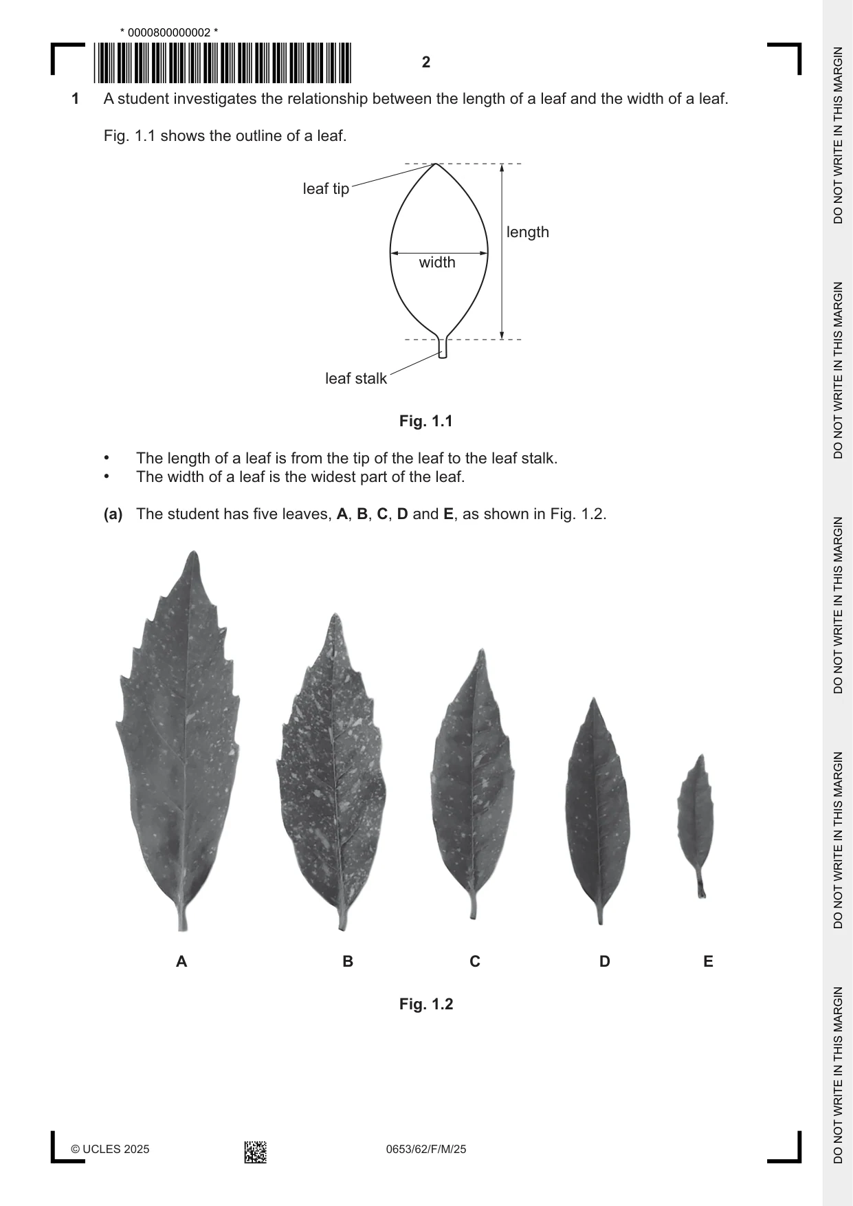 Cambridge IGCSE Science - Combined 0653 2025 Feb/March Paper 6 · Variant 2 question paper, page 2 of 16
