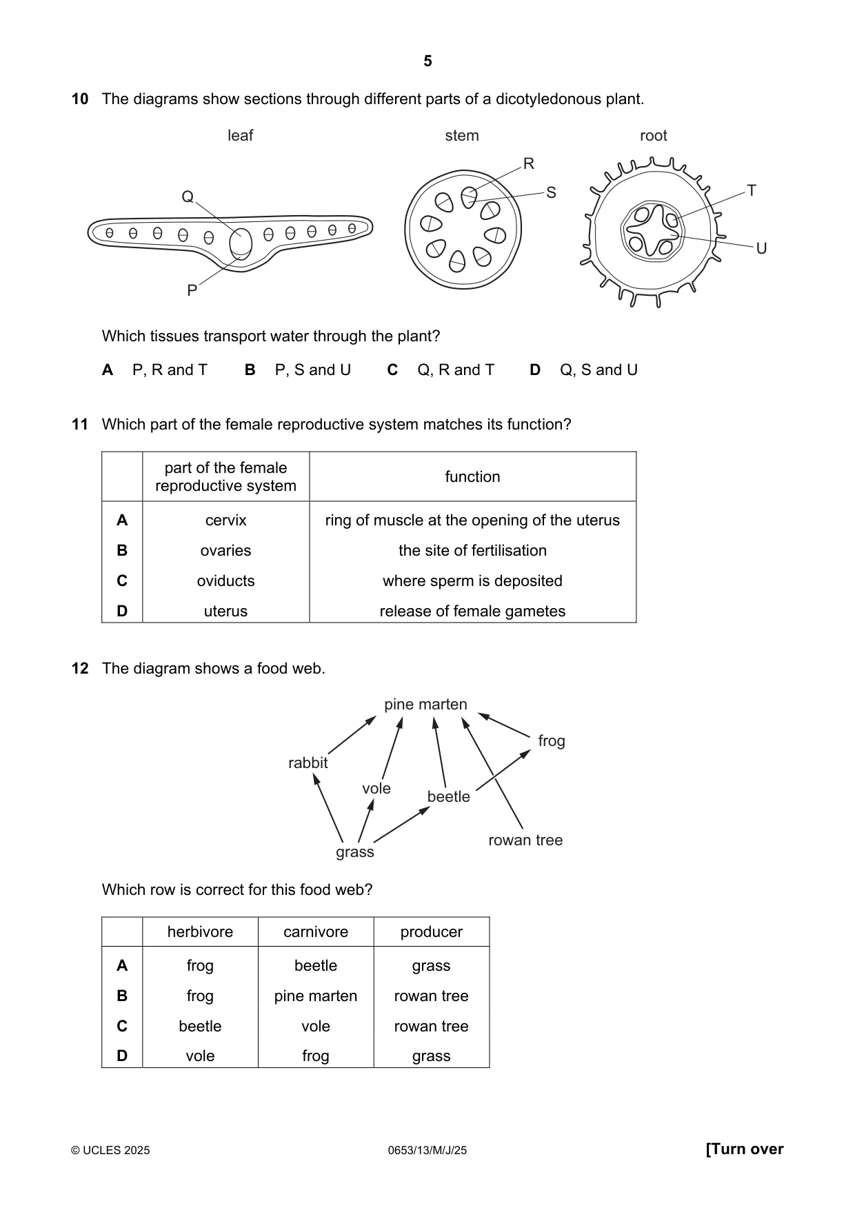 Cambridge IGCSE Science - Combined 0653 2025 May/June Paper 1 · Variant 3 question paper, page 5 of 16