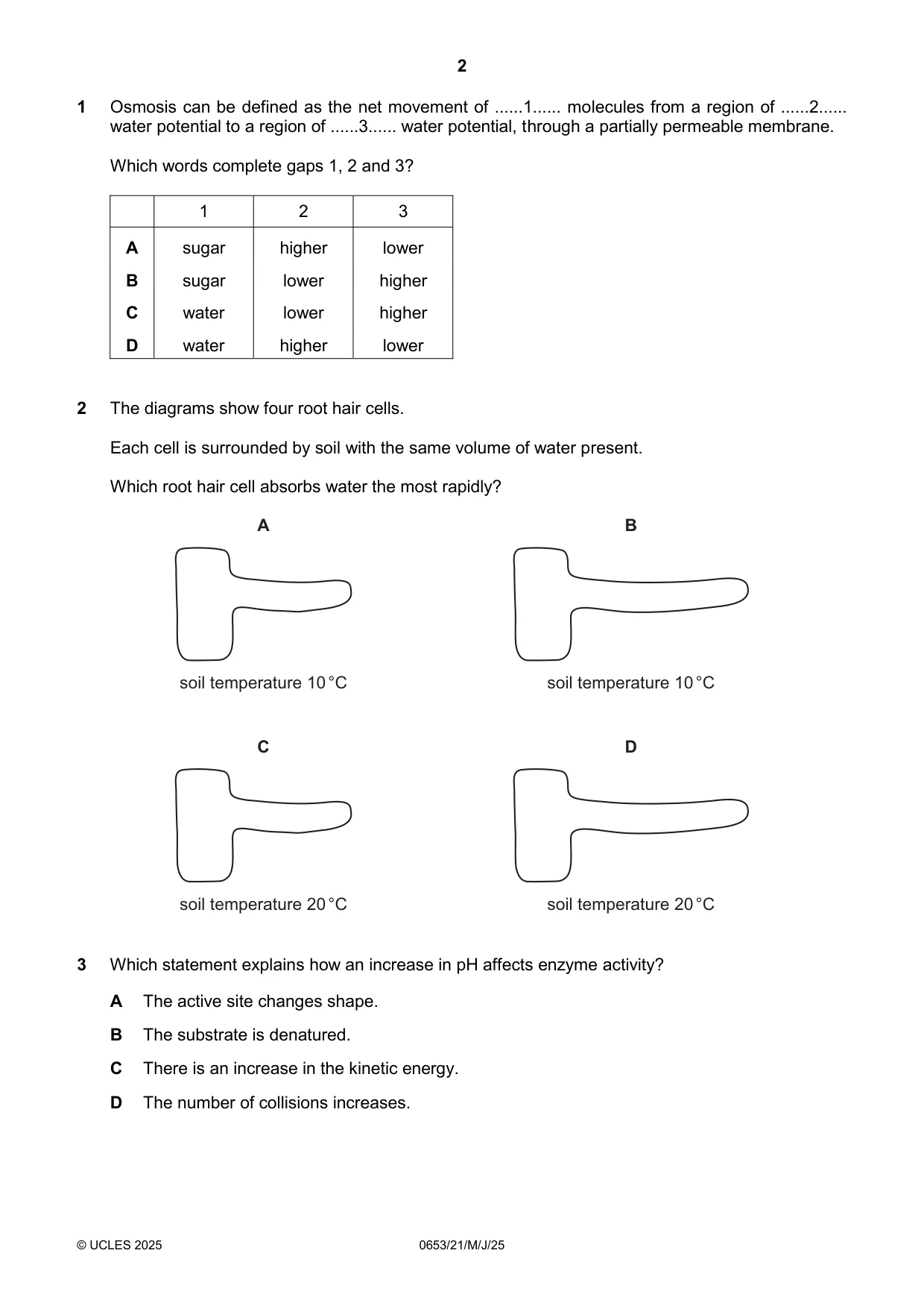 Cambridge IGCSE Science - Combined 0653 2025 May/June Paper 2 · Variant 1 question paper, page 2 of 16