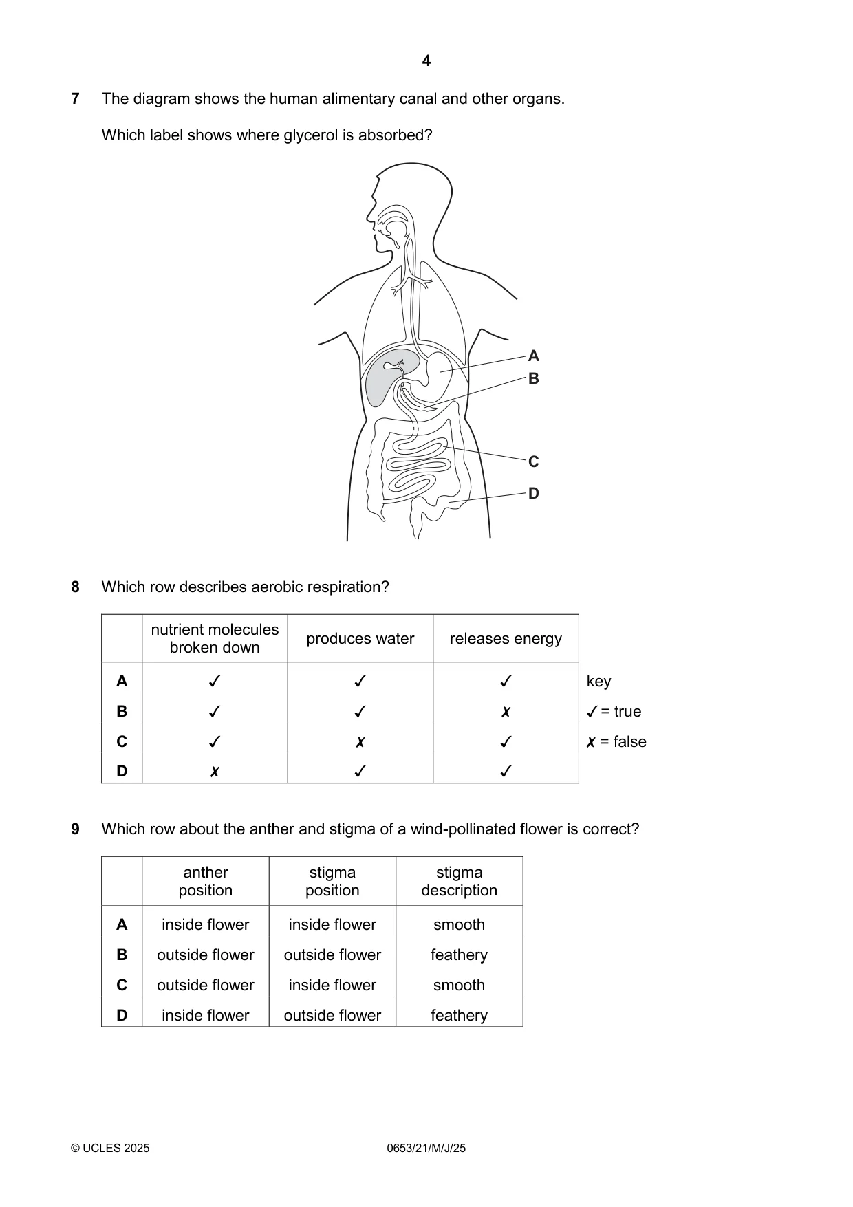 Cambridge IGCSE Science - Combined 0653 2025 May/June Paper 2 · Variant 1 question paper, page 4 of 16