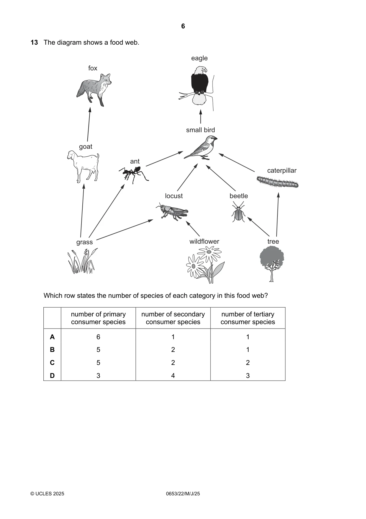 Cambridge IGCSE Science - Combined 0653 2025 May/June Paper 2 · Variant 2 question paper, page 6 of 16