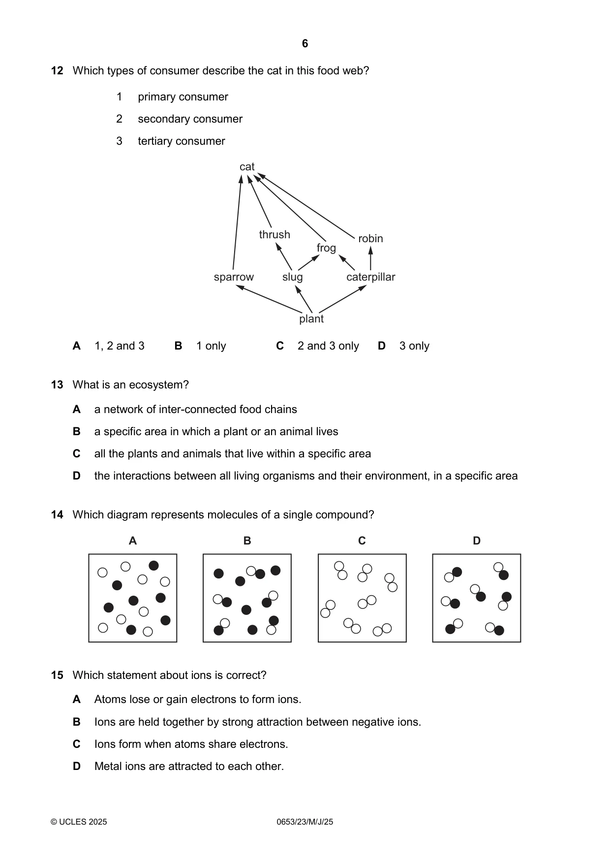 Cambridge IGCSE Science - Combined 0653 2025 May/June Paper 2 · Variant 3 question paper, page 6 of 16