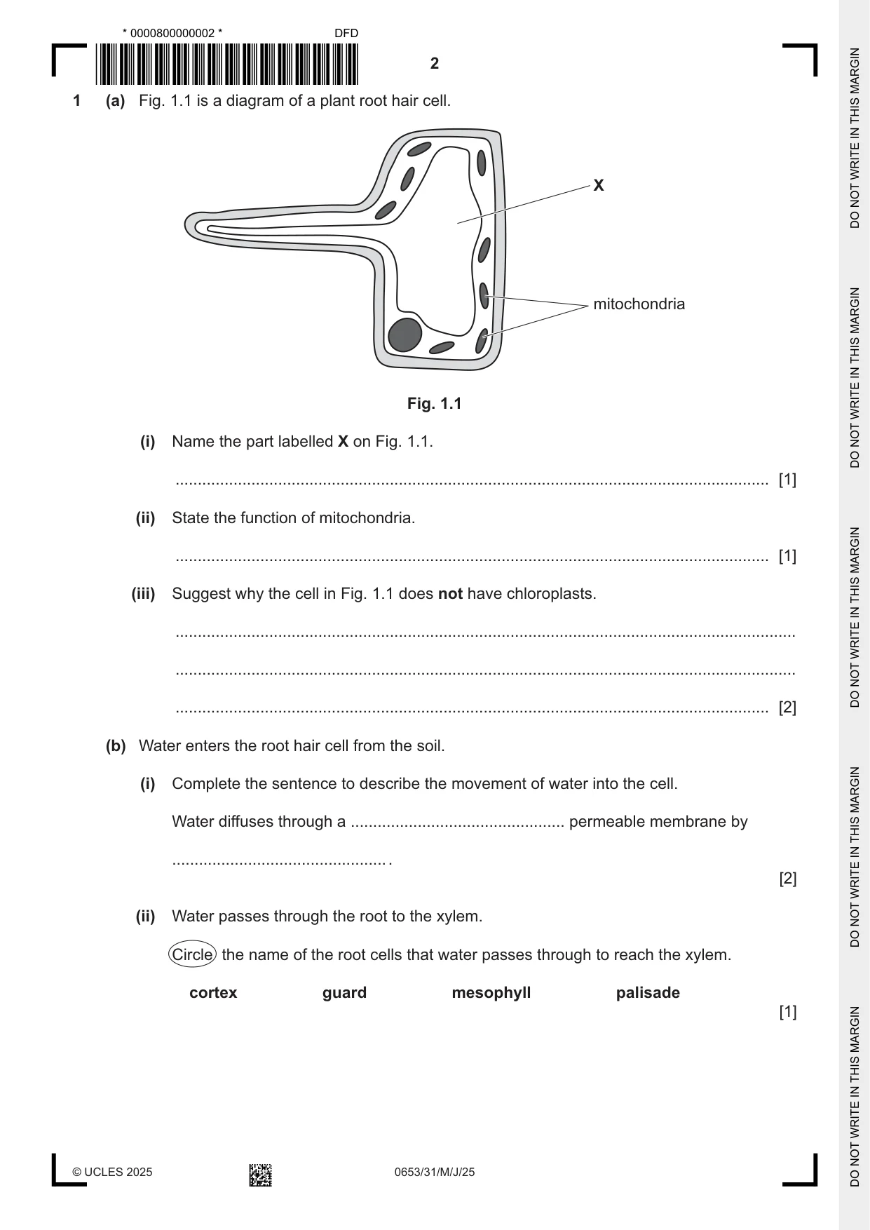 Cambridge IGCSE Science - Combined 0653 2025 May/June Paper 3 · Variant 1 question paper, page 2 of 20
