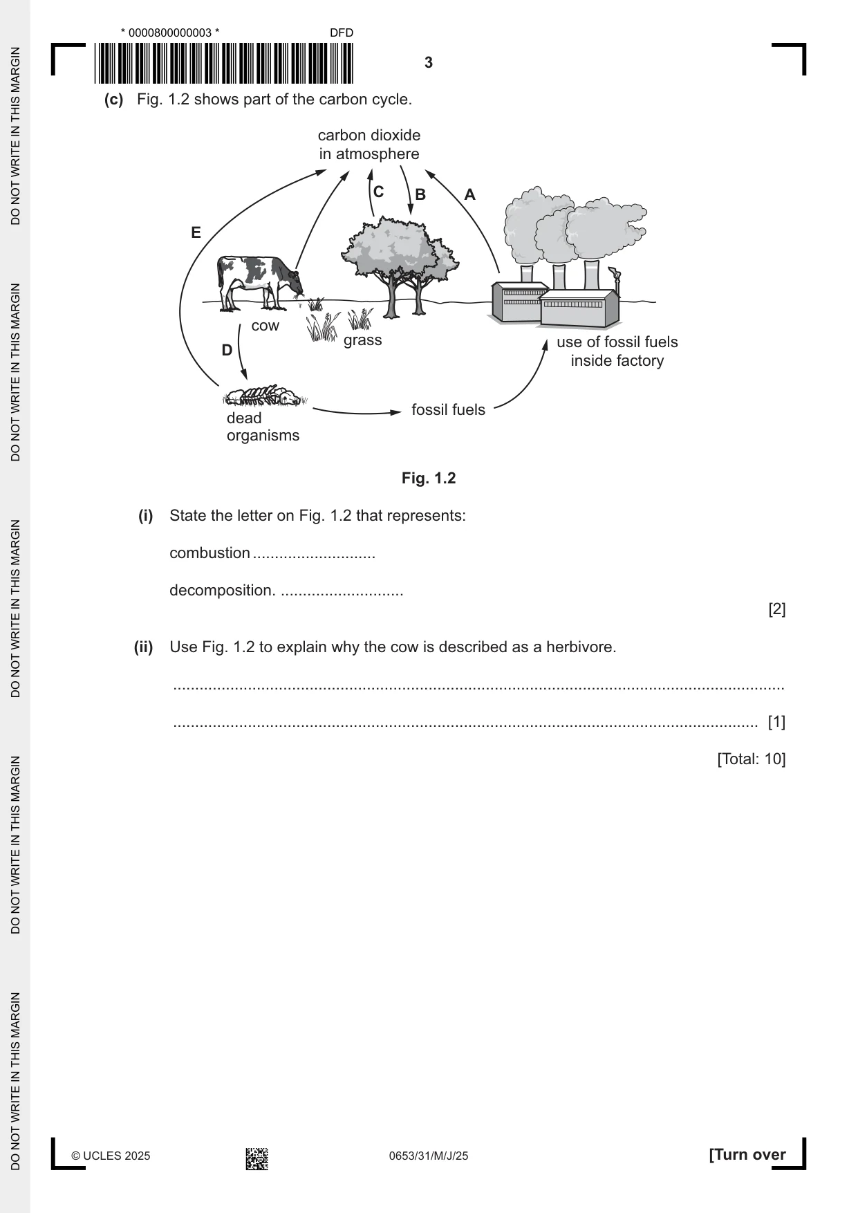 Cambridge IGCSE Science - Combined 0653 2025 May/June Paper 3 · Variant 1 question paper, page 3 of 20