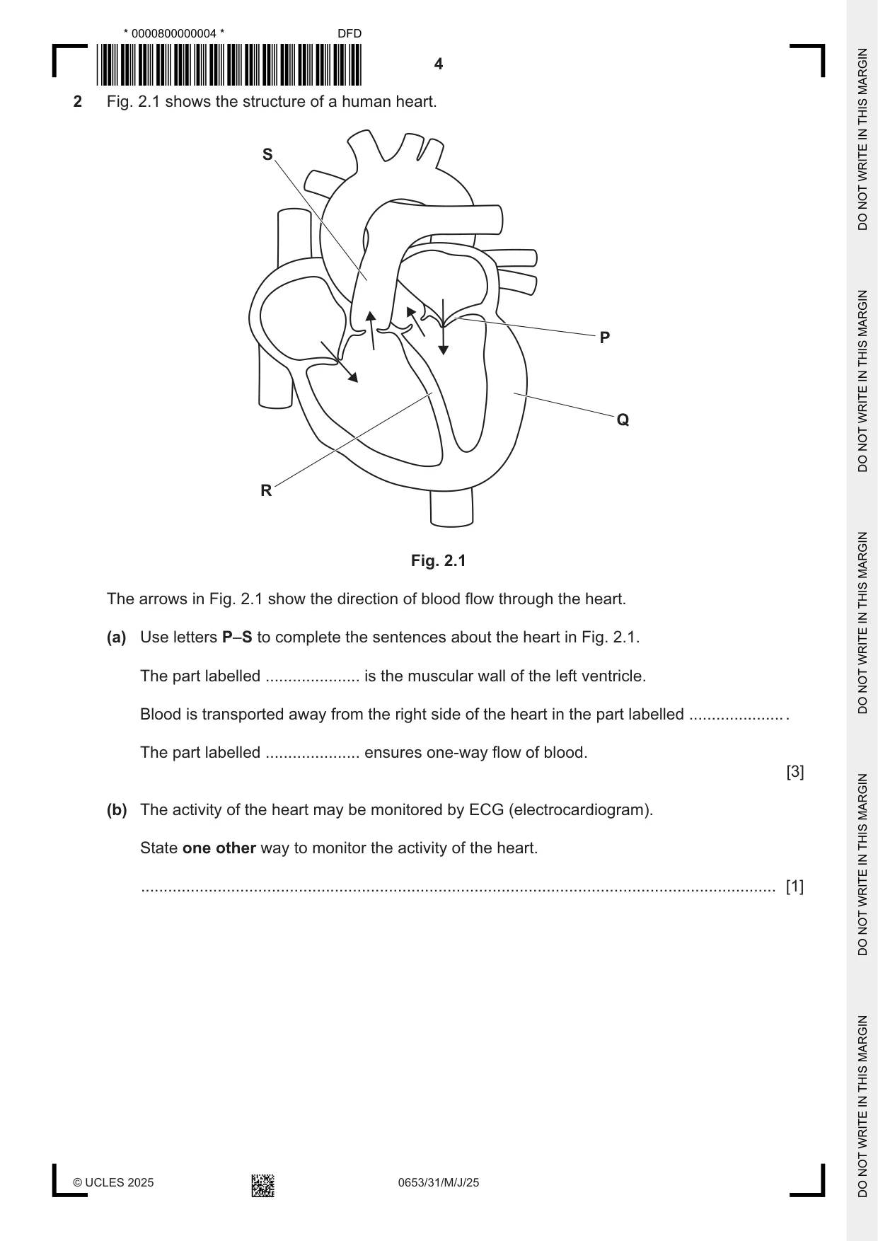 Cambridge IGCSE Science - Combined 0653 2025 May/June Paper 3 · Variant 1 question paper, page 4 of 20