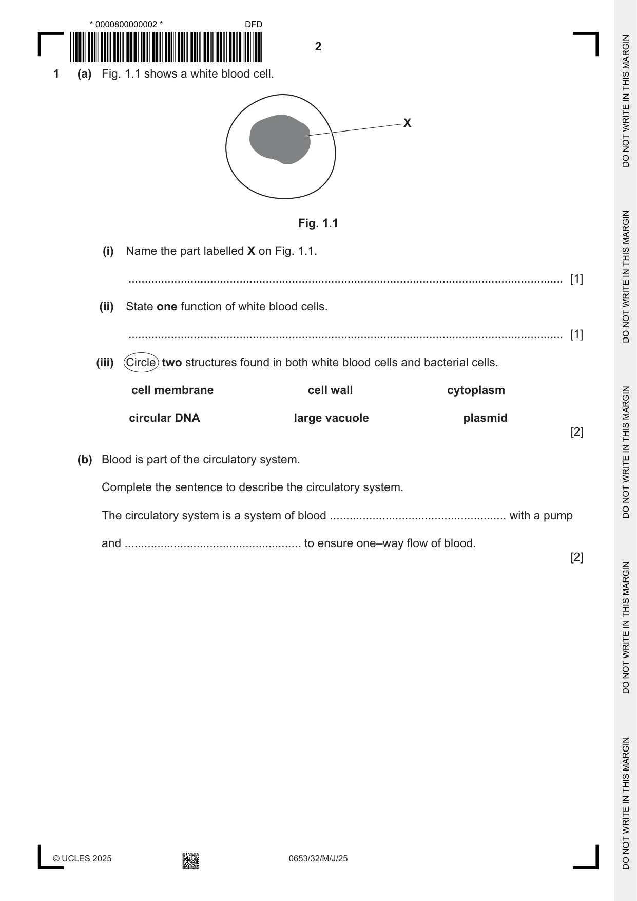 Cambridge IGCSE Science - Combined 0653 2025 May/June Paper 3 · Variant 2 question paper, page 2 of 20