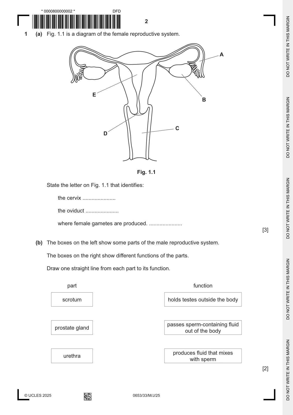Cambridge IGCSE Science - Combined 0653 2025 May/June Paper 3 · Variant 3 question paper, page 2 of 20