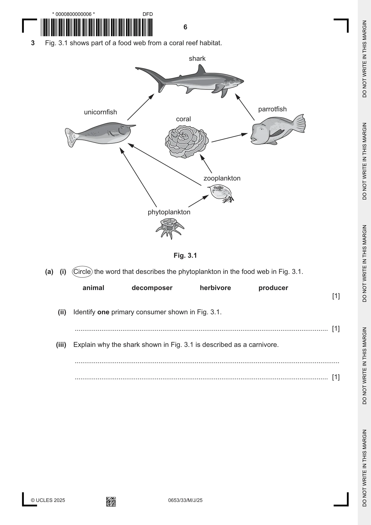 Cambridge IGCSE Science - Combined 0653 2025 May/June Paper 3 · Variant 3 question paper, page 6 of 20