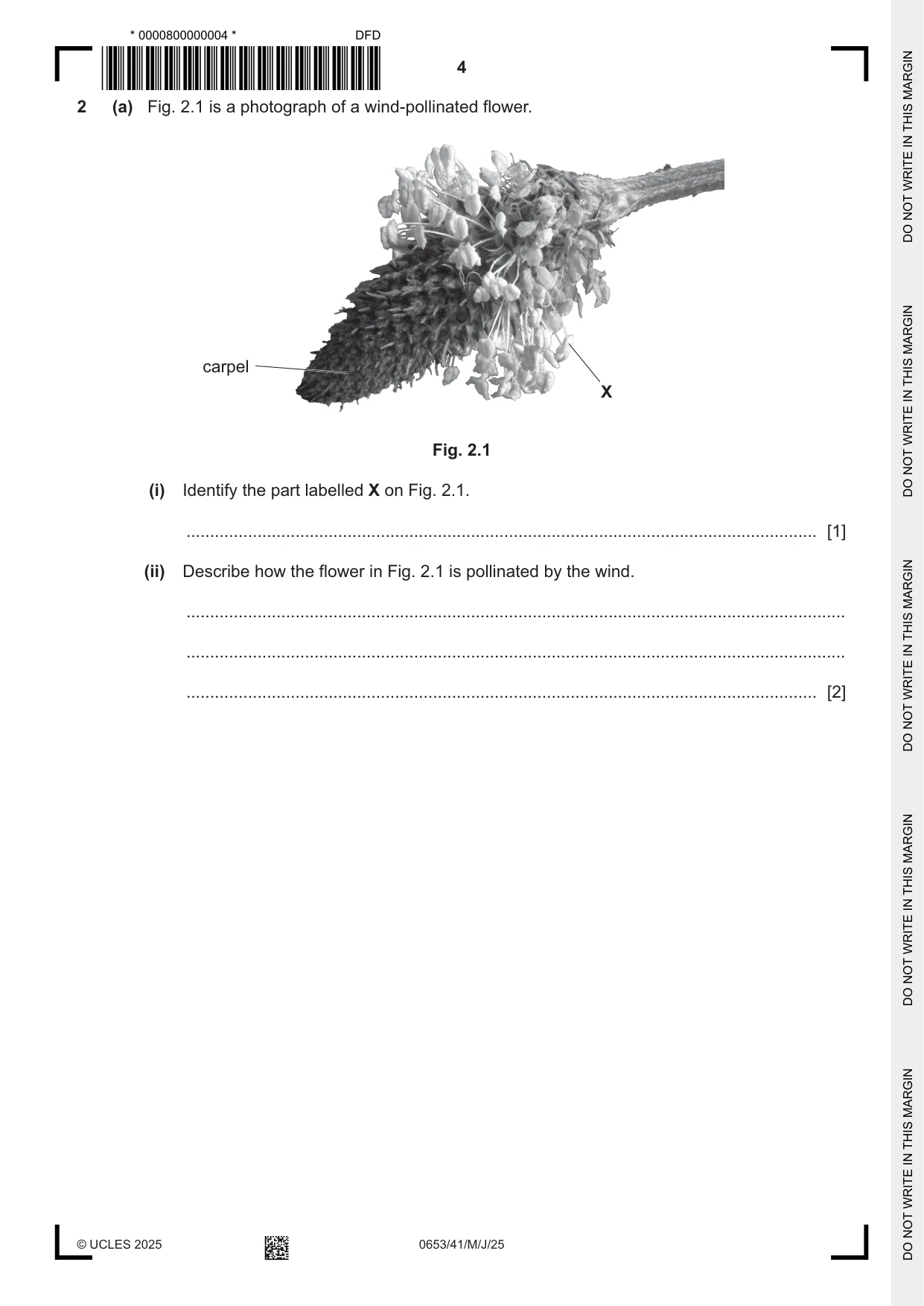 Cambridge IGCSE Science - Combined 0653 2025 May/June Paper 4 · Variant 1 question paper, page 4 of 24