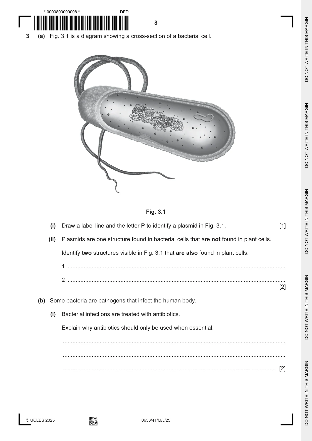 Cambridge IGCSE Science - Combined 0653 2025 May/June Paper 4 · Variant 1 question paper, page 8 of 24