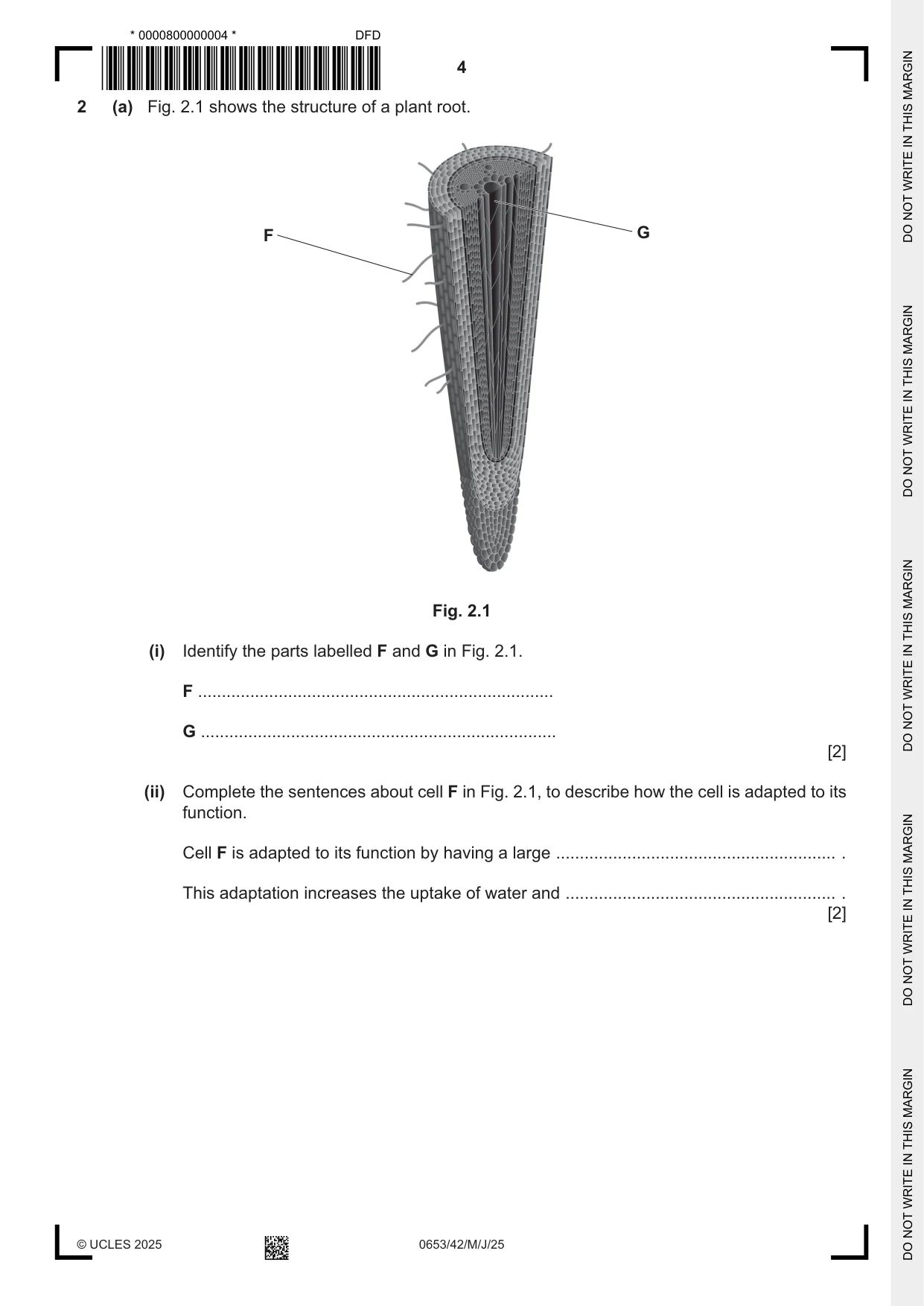 Cambridge IGCSE Science - Combined 0653 2025 May/June Paper 4 · Variant 2 question paper, page 4 of 20