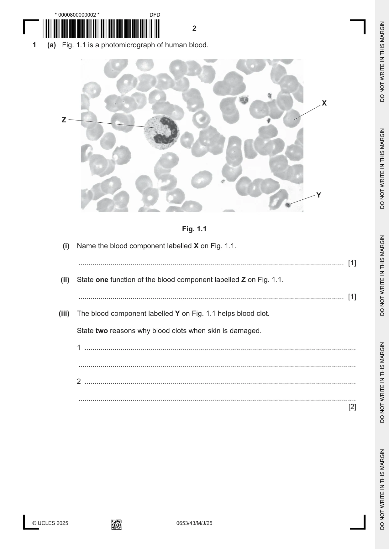 Cambridge IGCSE Science - Combined 0653 2025 May/June Paper 4 · Variant 3 question paper, page 2 of 20