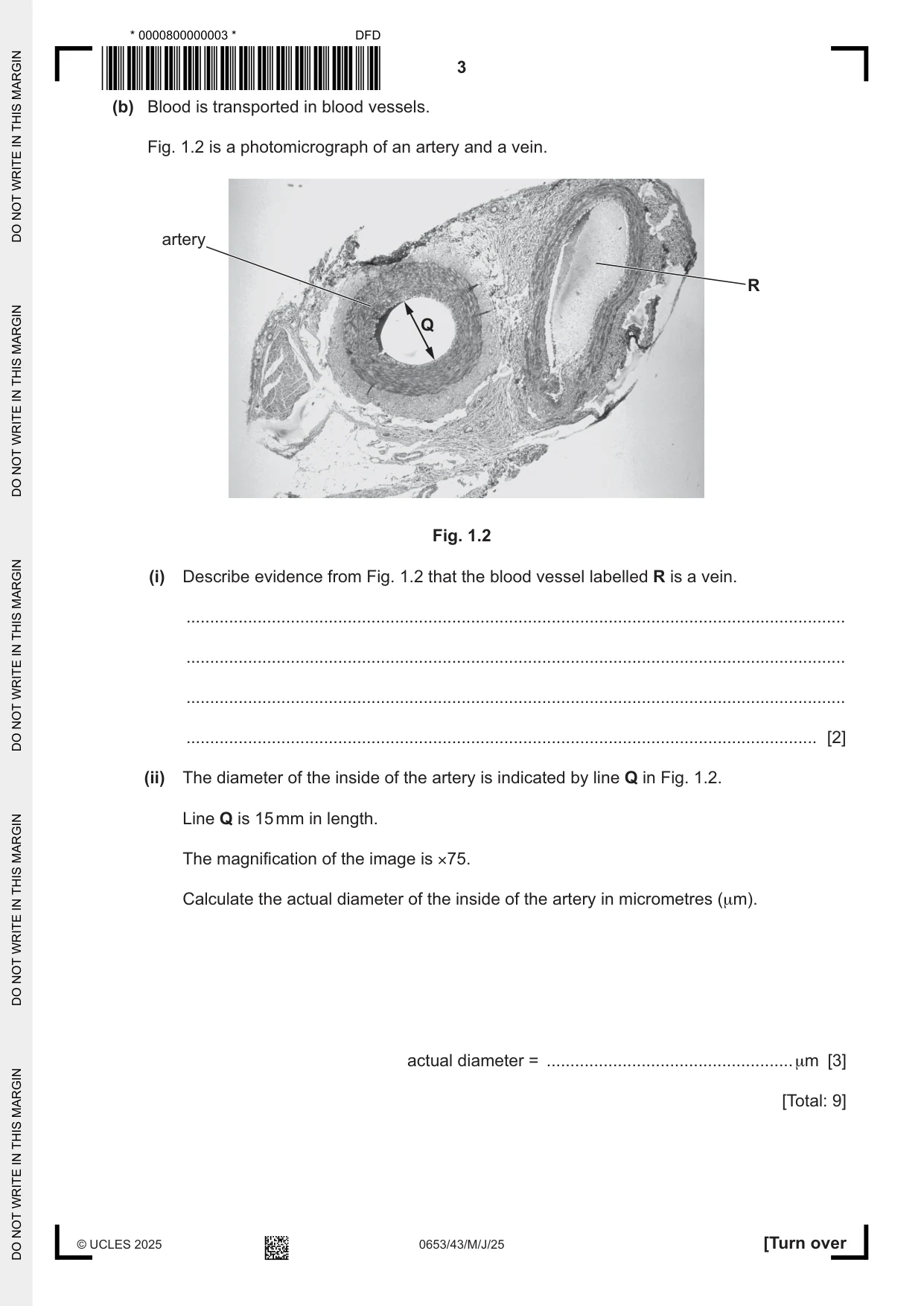Cambridge IGCSE Science - Combined 0653 2025 May/June Paper 4 · Variant 3 question paper, page 3 of 20