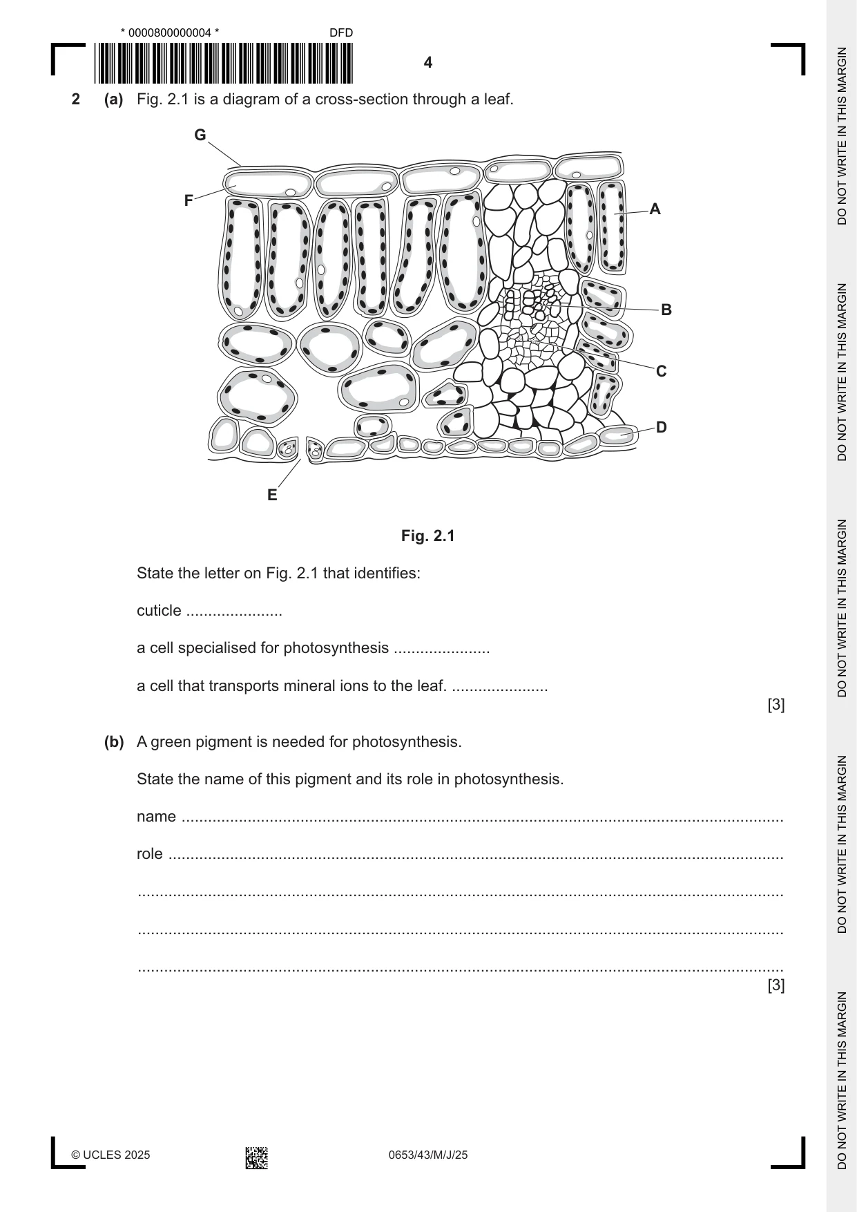 Cambridge IGCSE Science - Combined 0653 2025 May/June Paper 4 · Variant 3 question paper, page 4 of 20