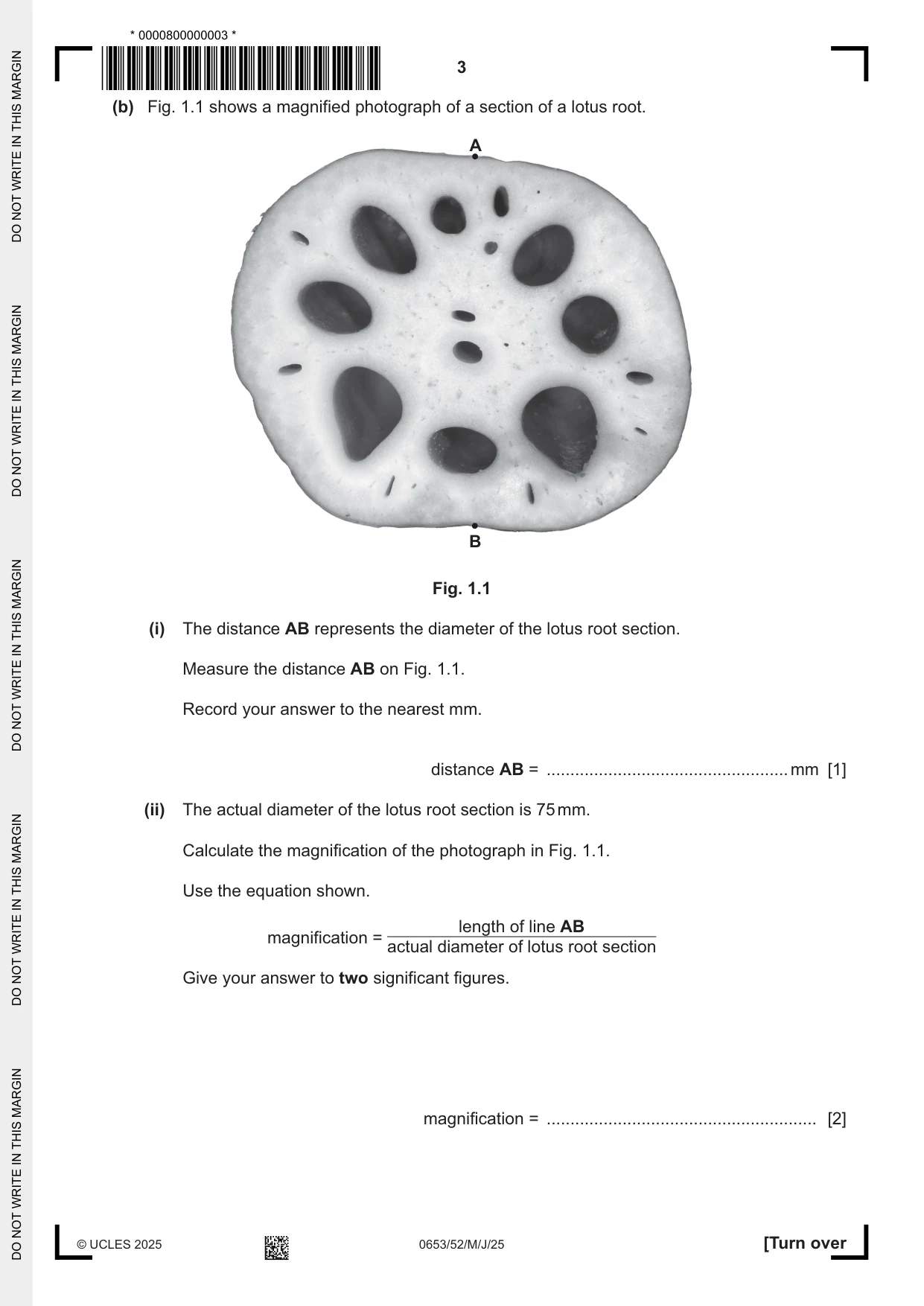Cambridge IGCSE Science - Combined 0653 2025 May/June Paper 5 · Variant 2 question paper, page 3 of 16