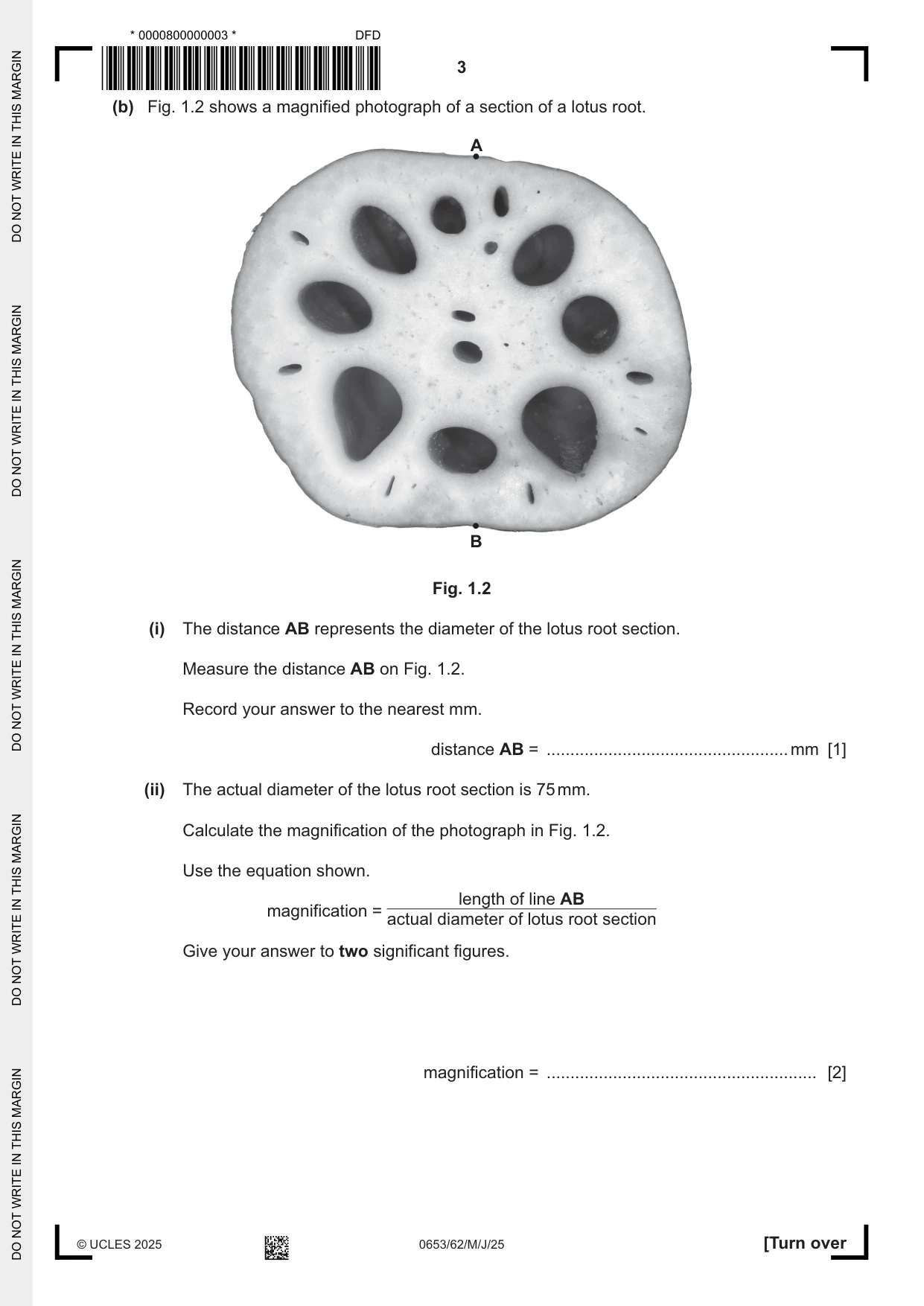 Cambridge IGCSE Science - Combined 0653 2025 May/June Paper 6 · Variant 2 question paper, page 3 of 16