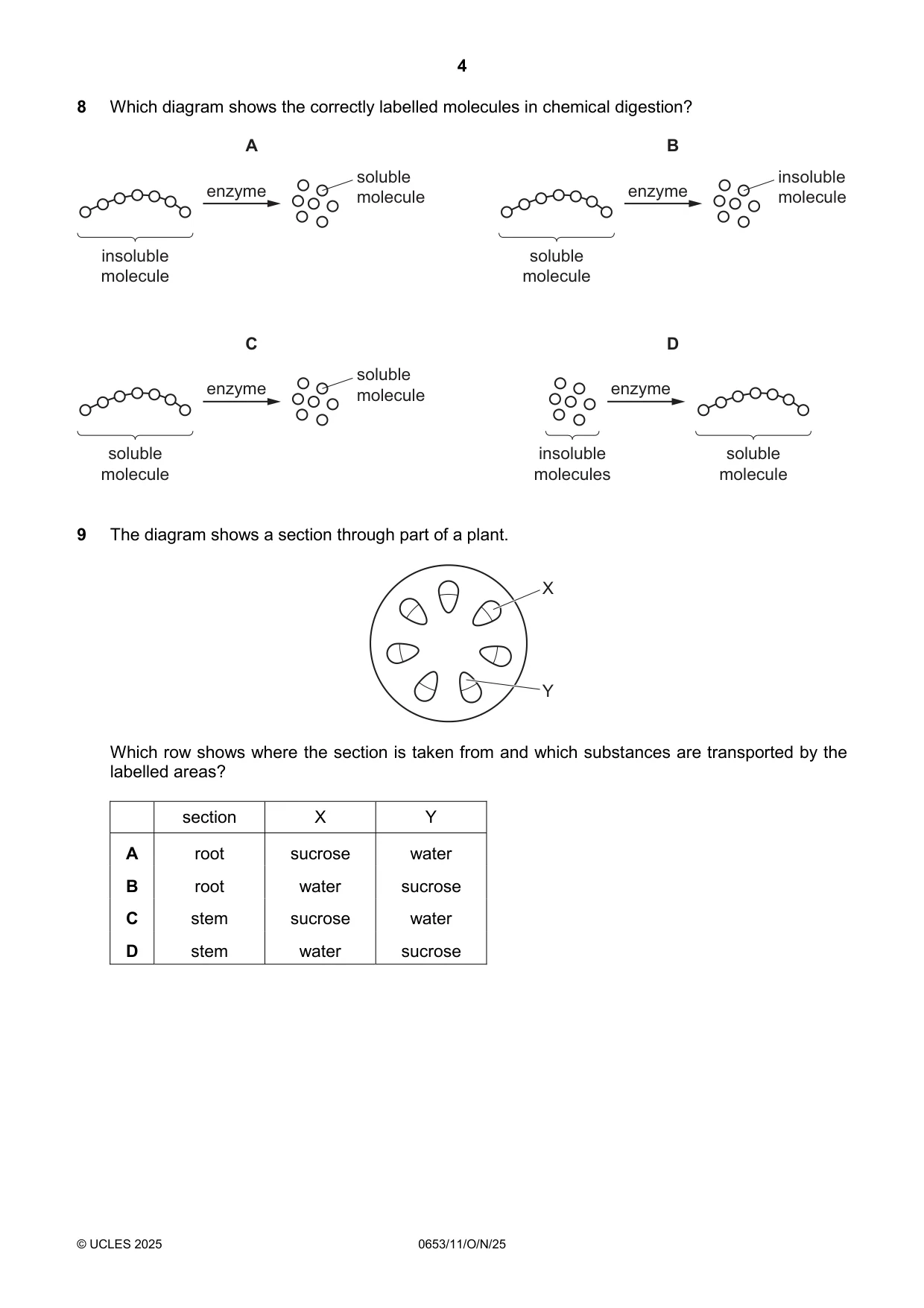 Cambridge IGCSE Science - Combined 0653 2025 Oct/Nov Paper 1 · Variant 1 question paper, page 4 of 16