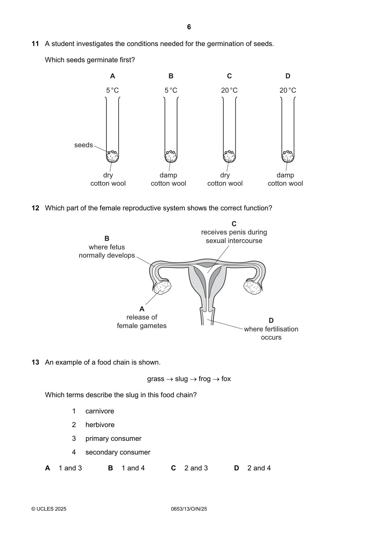 Cambridge IGCSE Science - Combined 0653 2025 Oct/Nov Paper 1 · Variant 3 question paper, page 6 of 16