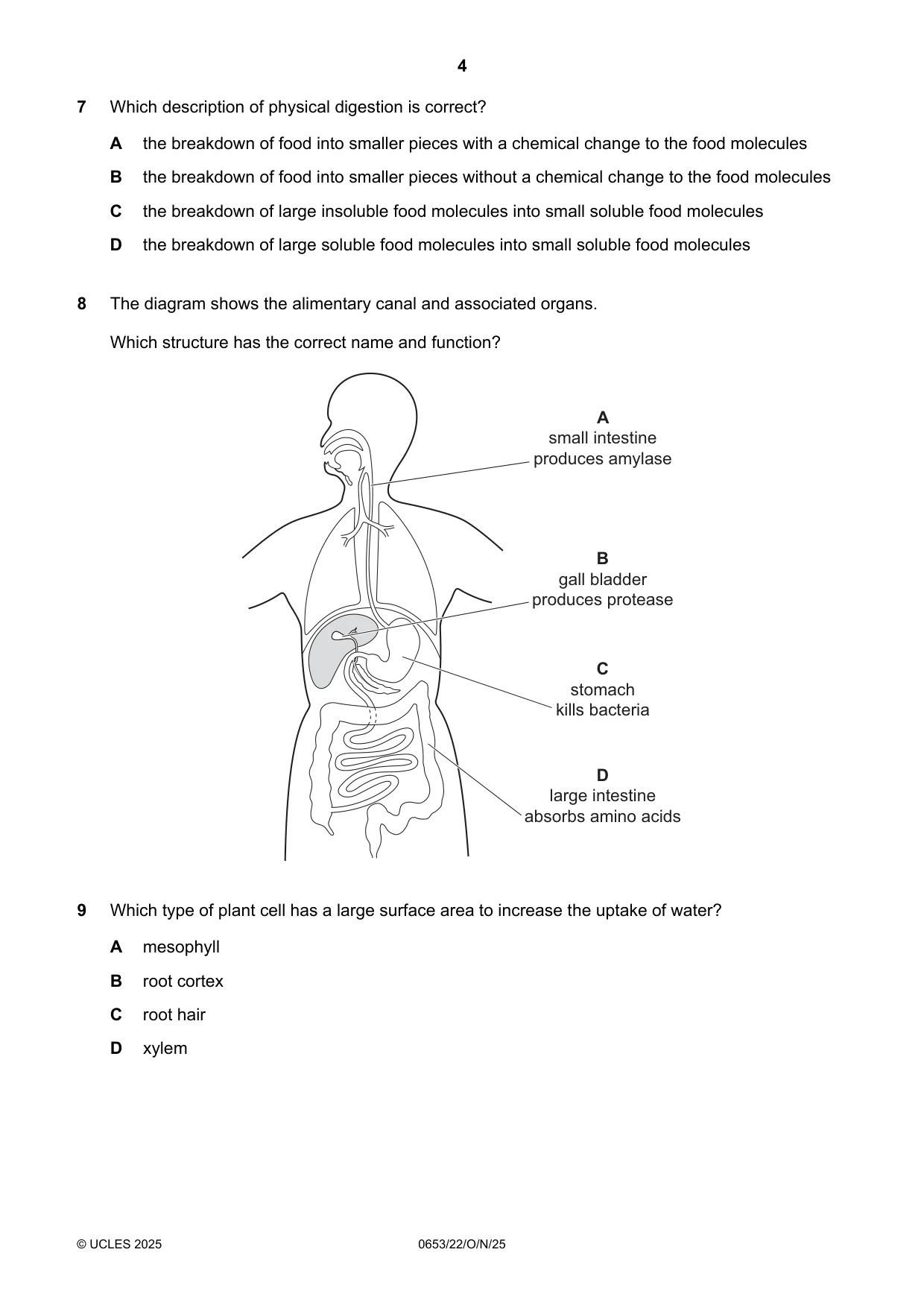 Cambridge IGCSE Science - Combined 0653 2025 Oct/Nov Paper 2 · Variant 2 question paper, page 4 of 16