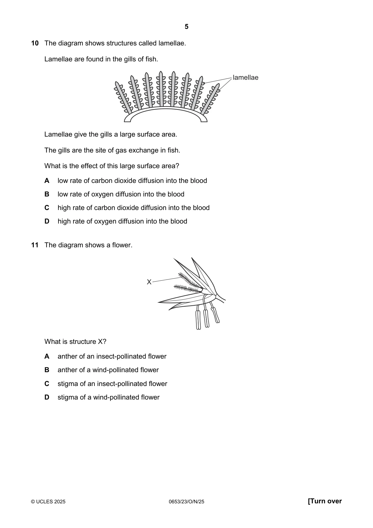 Cambridge IGCSE Science - Combined 0653 2025 Oct/Nov Paper 2 · Variant 3 question paper, page 5 of 16