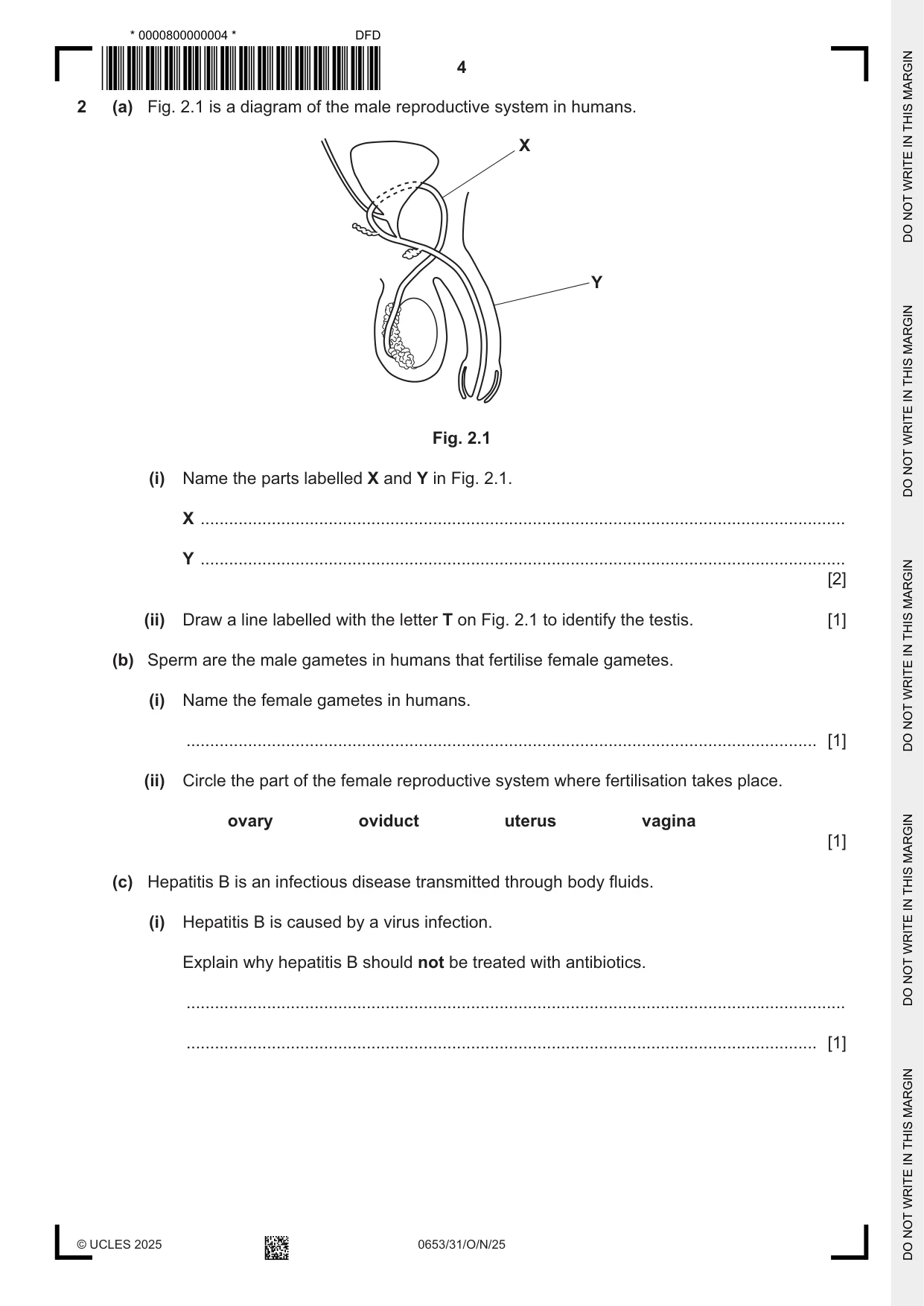 Cambridge IGCSE Science - Combined 0653 2025 Oct/Nov Paper 3 · Variant 1 question paper, page 4 of 20