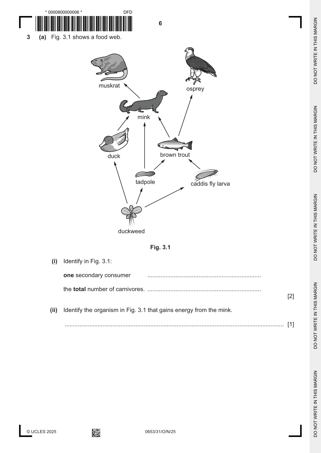 Cambridge IGCSE Science - Combined 0653 2025 Oct/Nov Paper 3 · Variant 1 question paper, page 6 of 20