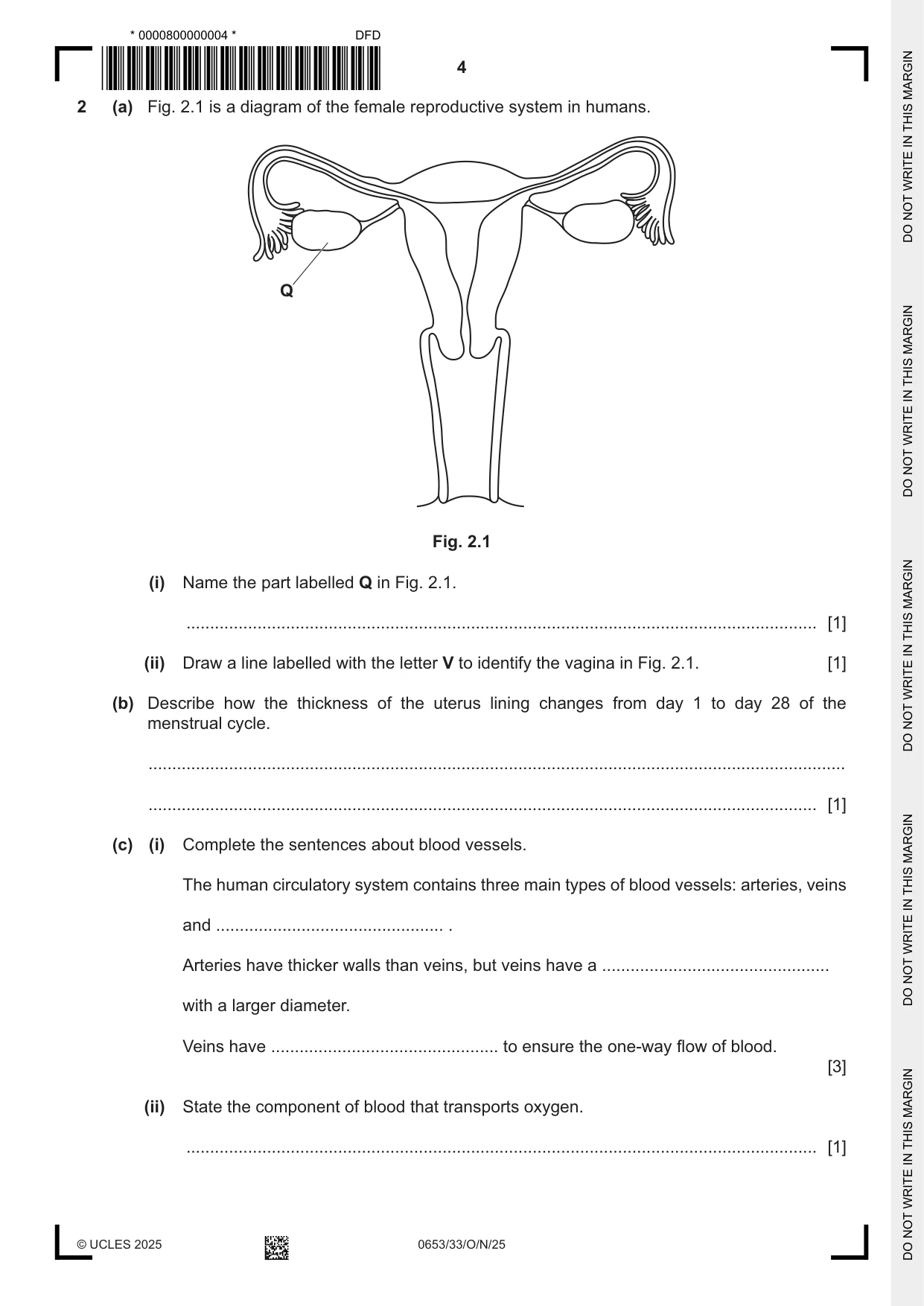 Cambridge IGCSE Science - Combined 0653 2025 Oct/Nov Paper 3 · Variant 3 question paper, page 4 of 20