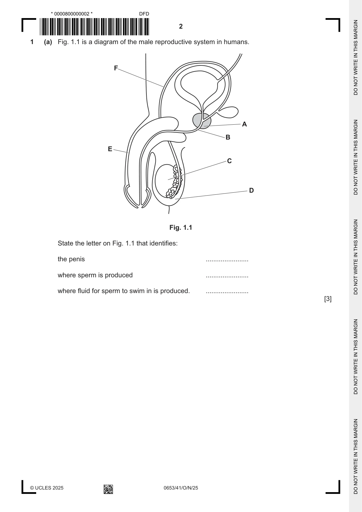 Cambridge IGCSE Science - Combined 0653 2025 Oct/Nov Paper 4 · Variant 1 question paper, page 2 of 20
