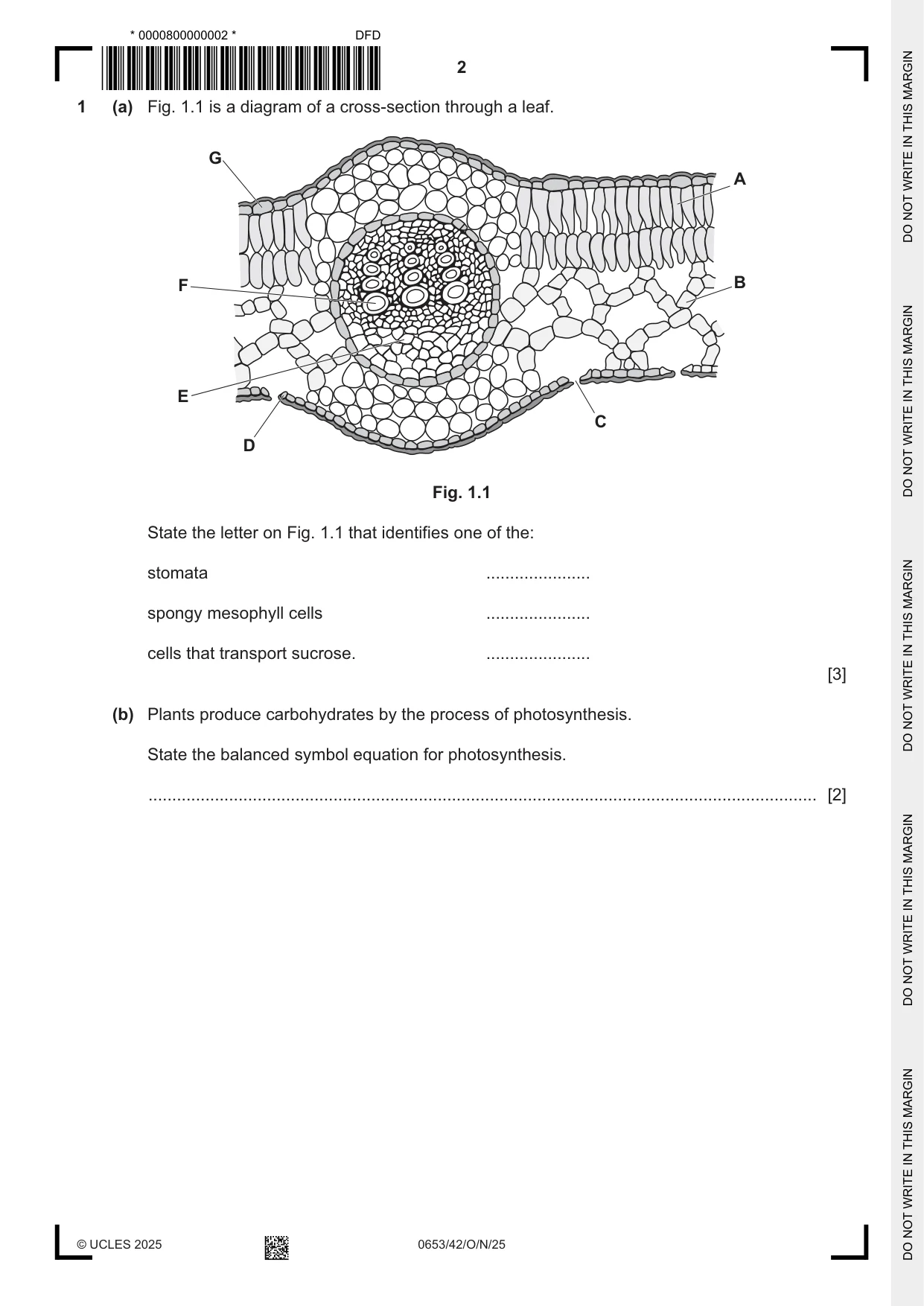 Cambridge IGCSE Science - Combined 0653 2025 Oct/Nov Paper 4 · Variant 2 question paper, page 2 of 20