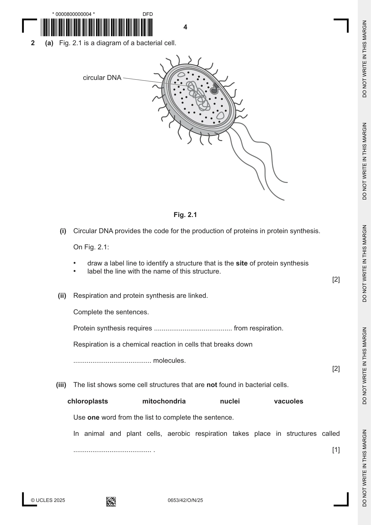 Cambridge IGCSE Science - Combined 0653 2025 Oct/Nov Paper 4 · Variant 2 question paper, page 4 of 20