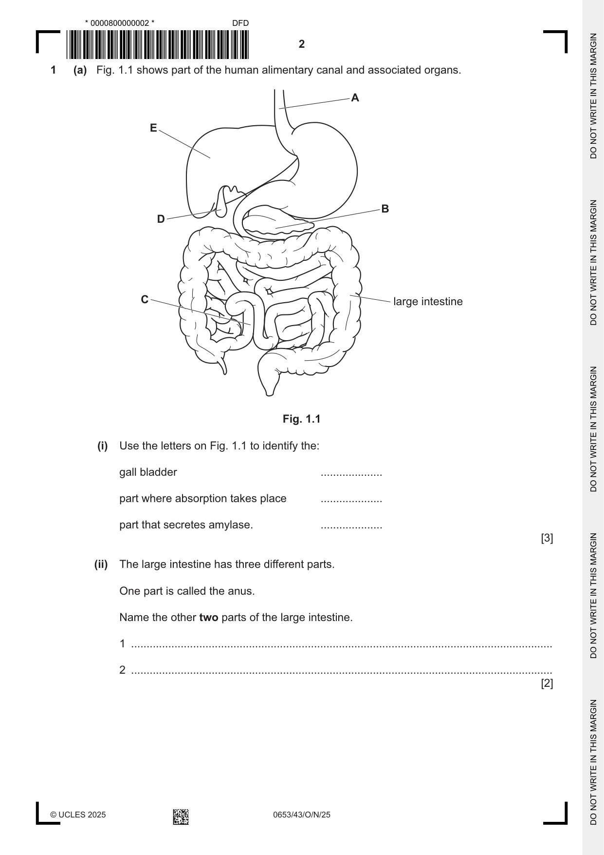 Cambridge IGCSE Science - Combined 0653 2025 Oct/Nov Paper 4 · Variant 3 question paper, page 2 of 20