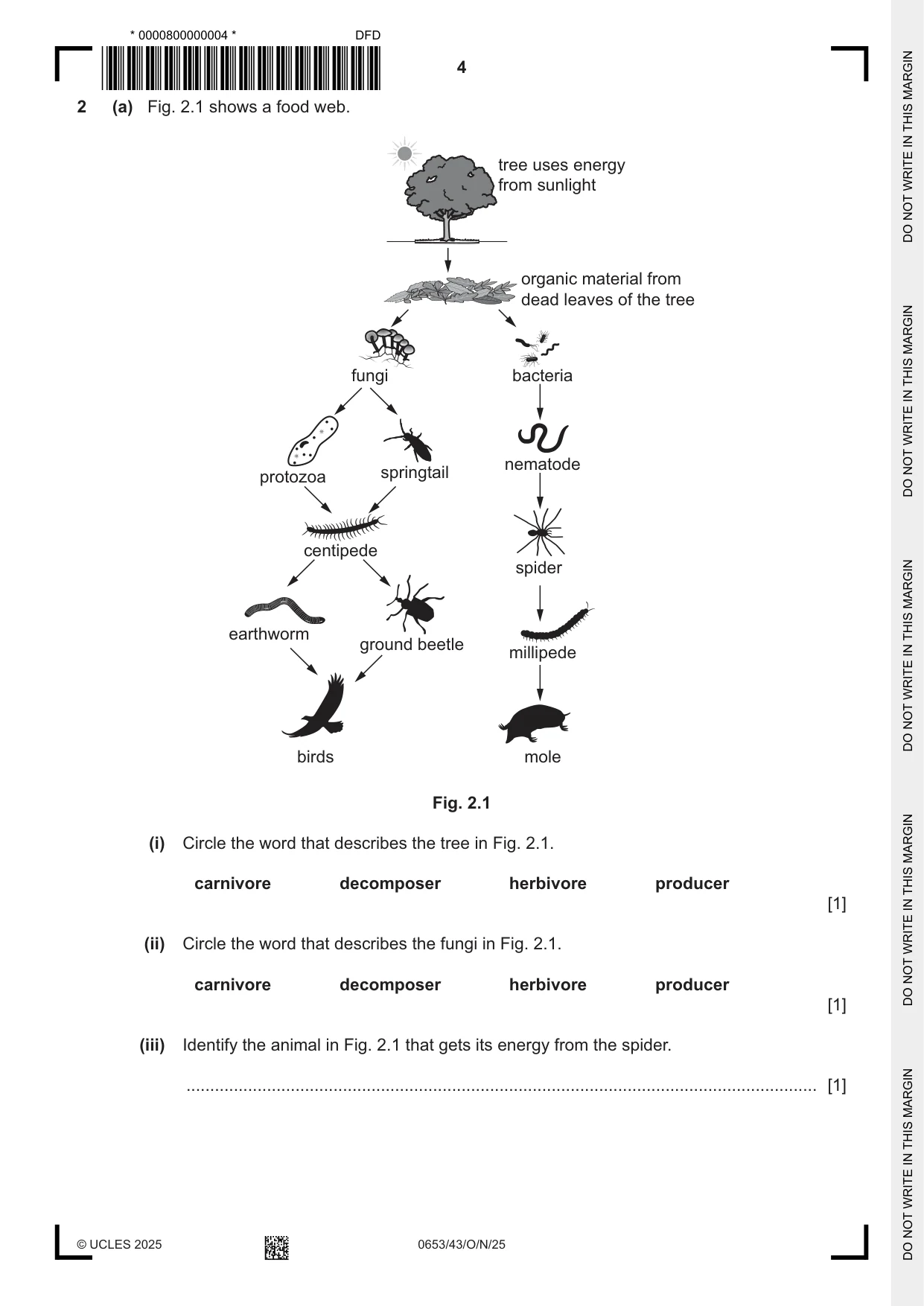 Cambridge IGCSE Science - Combined 0653 2025 Oct/Nov Paper 4 · Variant 3 question paper, page 4 of 20