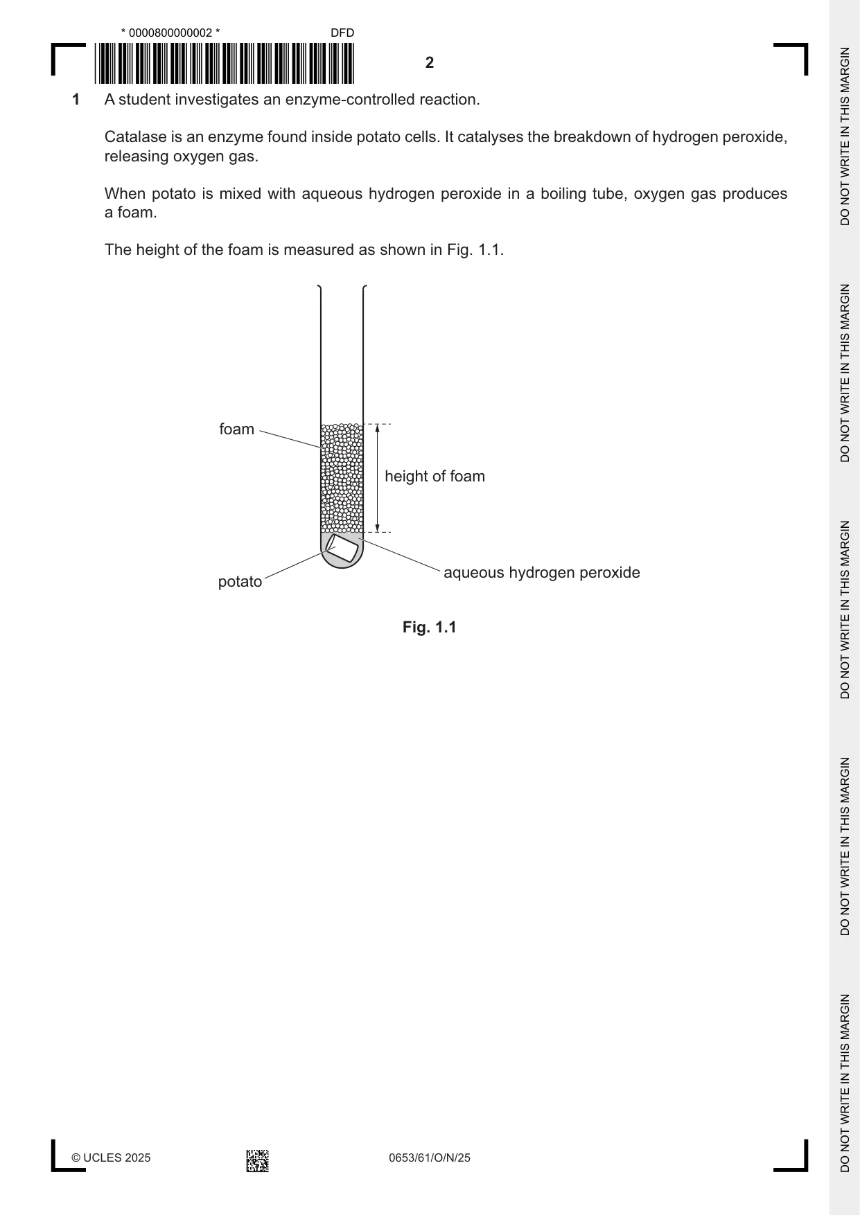 Cambridge IGCSE Science - Combined 0653 2025 Oct/Nov Paper 6 · Variant 1 question paper, page 2 of 16