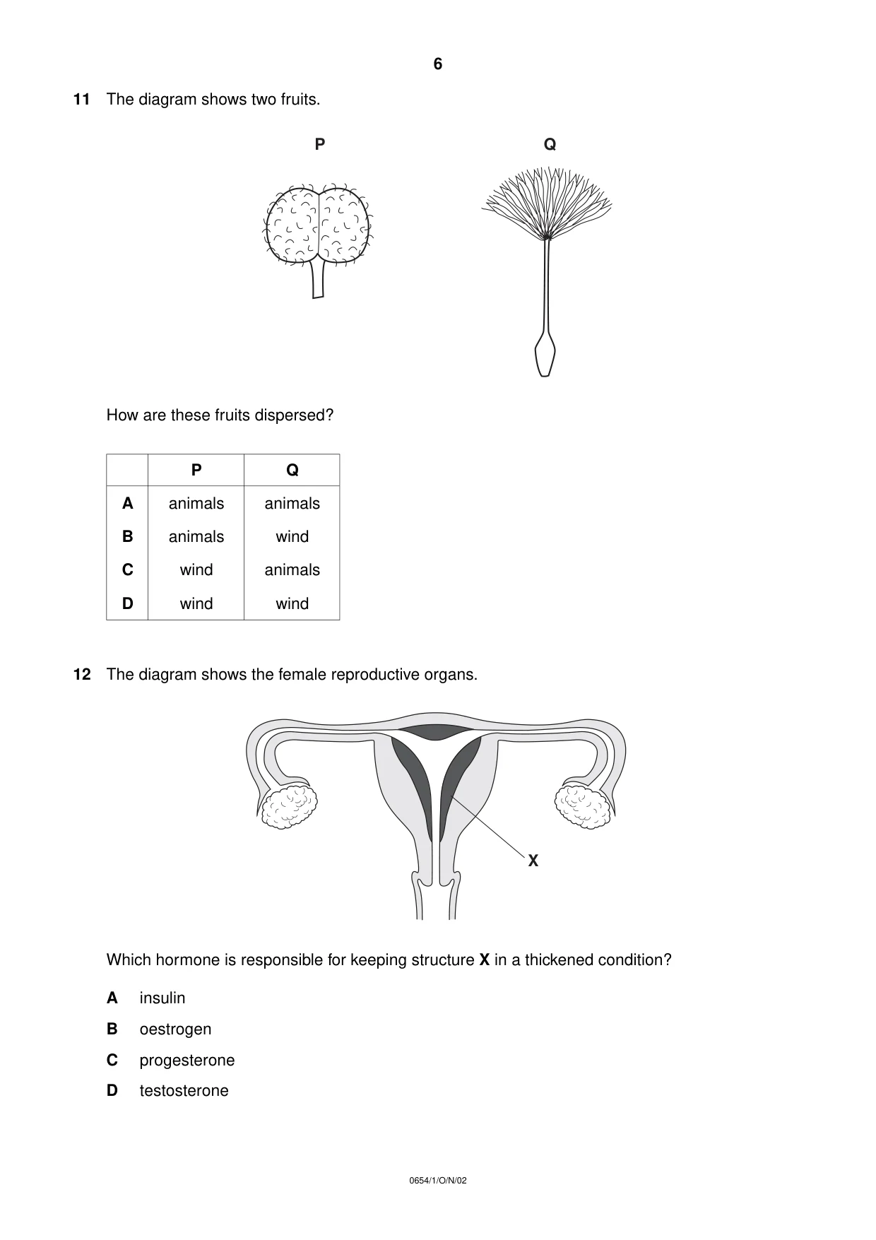 Cambridge IGCSE Sciences - Co-ordinated (Double) 0654 2002 Oct/Nov Paper 1 · Variant 1 question paper, page 6 of 20