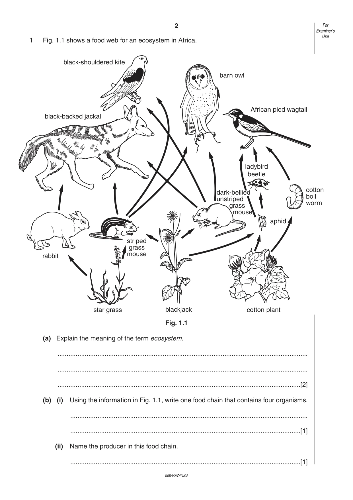 Cambridge IGCSE Sciences - Co-ordinated (Double) 0654 2002 Oct/Nov Paper 2 · Variant 1 question paper, page 2 of 20
