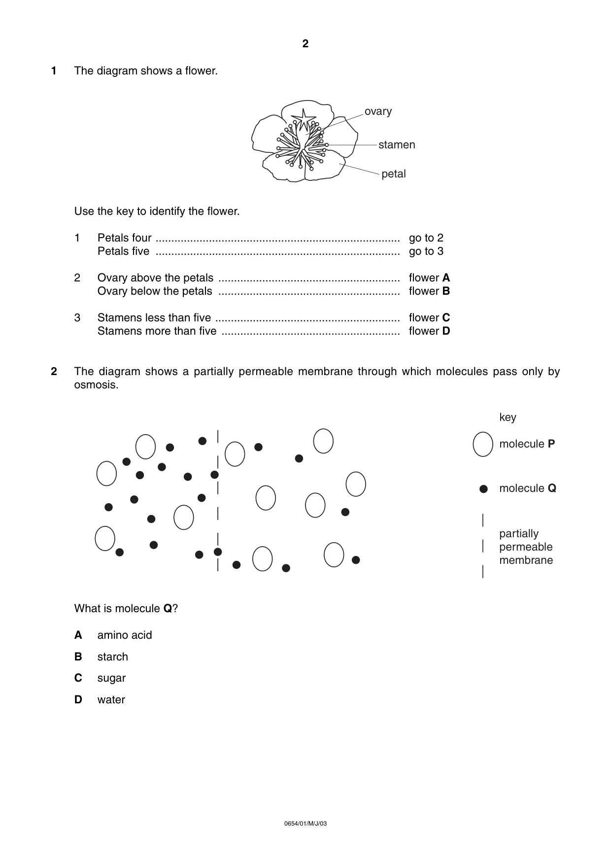 Cambridge IGCSE Sciences - Co-ordinated (Double) 0654 2003 May/June Paper 1 · Variant 1 question paper, page 2 of 20