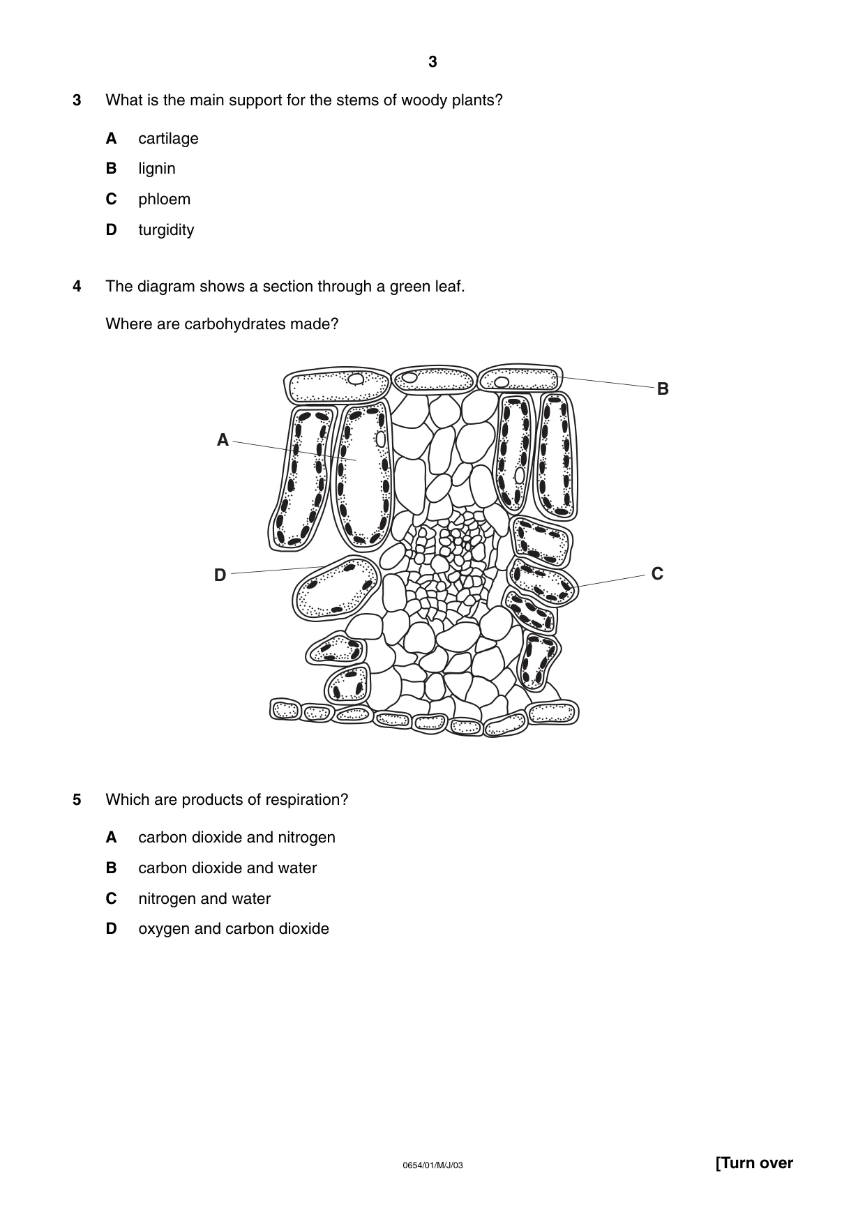 Cambridge IGCSE Sciences - Co-ordinated (Double) 0654 2003 May/June Paper 1 · Variant 1 question paper, page 3 of 20
