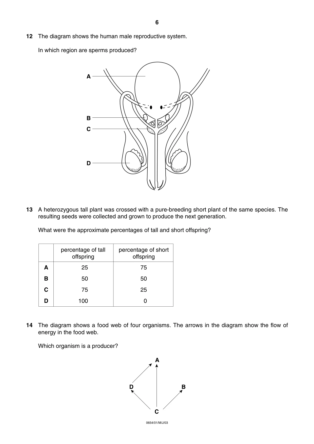 Cambridge IGCSE Sciences - Co-ordinated (Double) 0654 2003 May/June Paper 1 · Variant 1 question paper, page 6 of 20