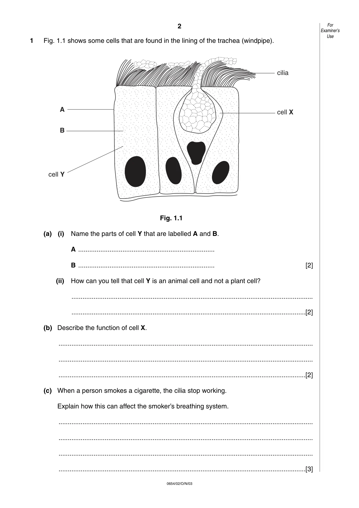 Cambridge IGCSE Sciences - Co-ordinated (Double) 0654 2003 Oct/Nov Paper 2 · Variant 1 question paper, page 2 of 20