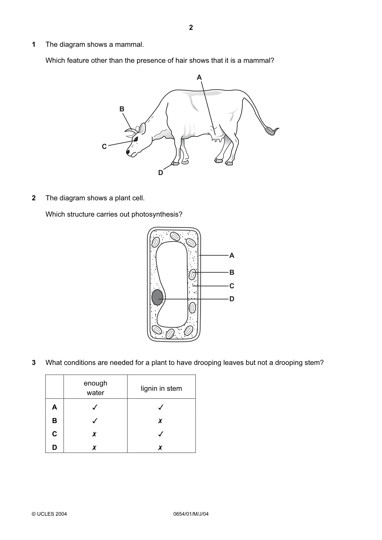 Cambridge IGCSE Sciences - Co-ordinated (Double) 0654 2004 May/June Paper 1 · Variant 1 question paper, page 2 of 20